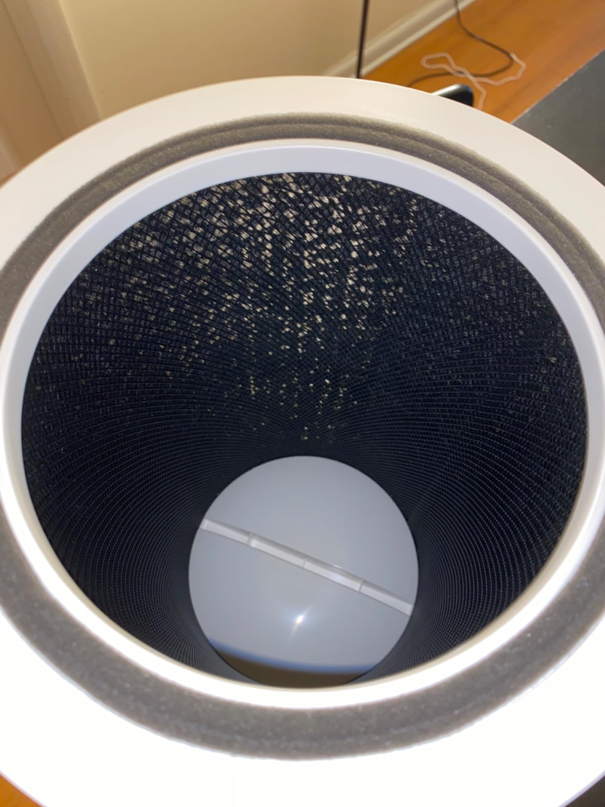 Clorox HEPA Air Purifiers for Home, True HEPA Filter, Large Rooms Up to 1,500 Sq Ft, Removes 99.9% of Mold, Viruses, Wildfire Smoke, Allergens, Pet Allergies, Dust, AUTO Mode, Whisper Quiet customer photo 1