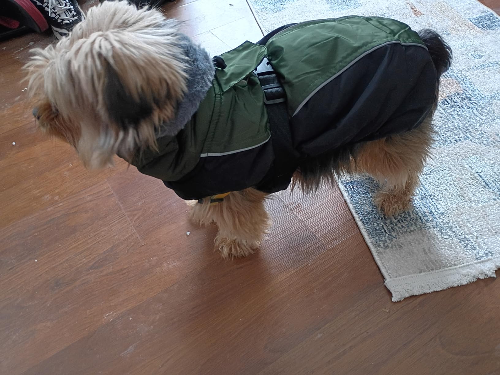 IECOii Extra Warm & Reflective Dog Jacket - Fleece Turtleneck Winter Coat - Adjustable Buckles - Small to Extra Large - Perfect for Cold Weather customer photo 1