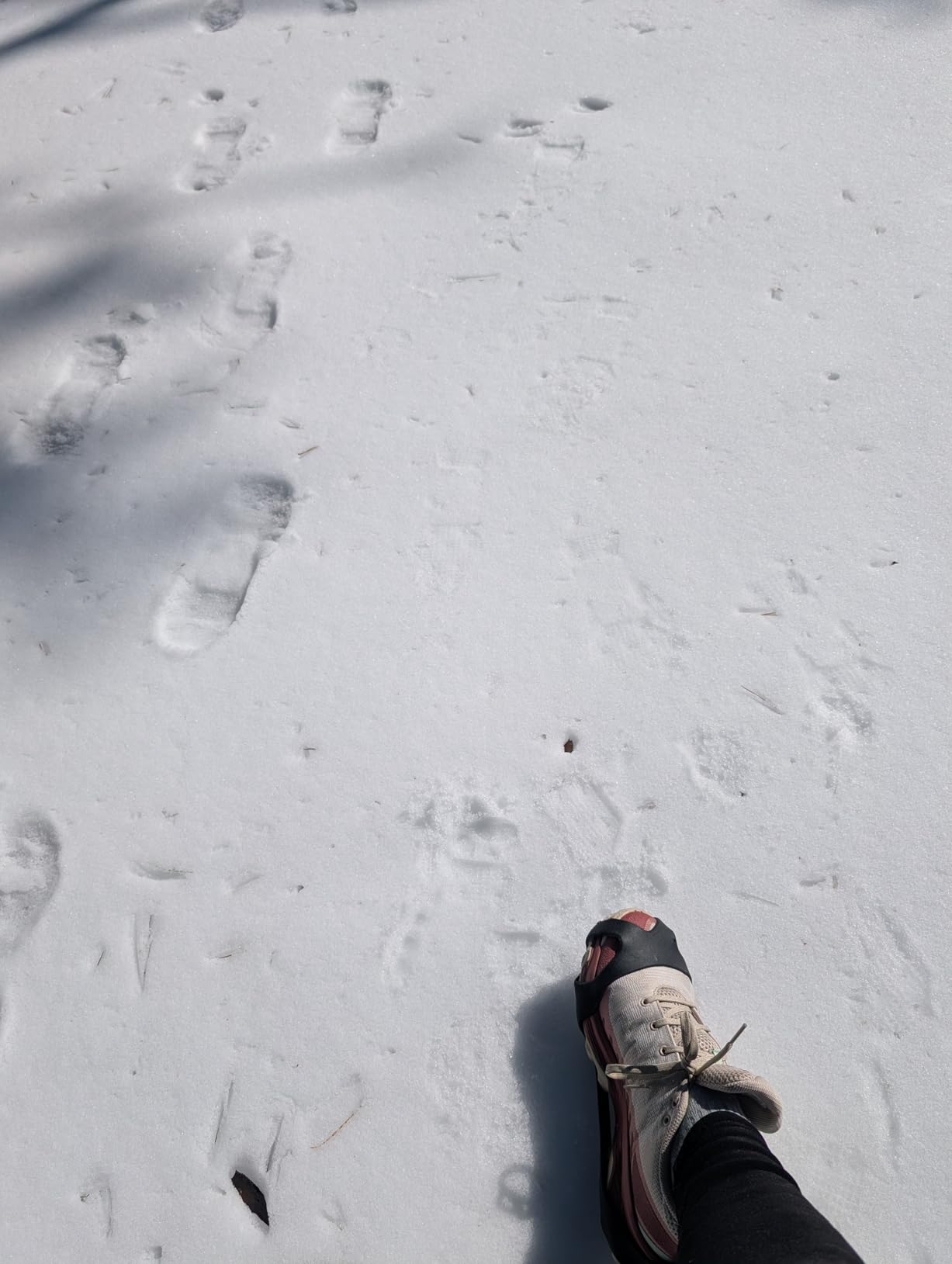 Ice Snow Cleats for Shoes and Boots, Walk Traction Cleats Crampons Anti Slip 11 Studs Ice Snow Grippers Over Shoe for Men Women Walking on Snow Ice customer photo 2