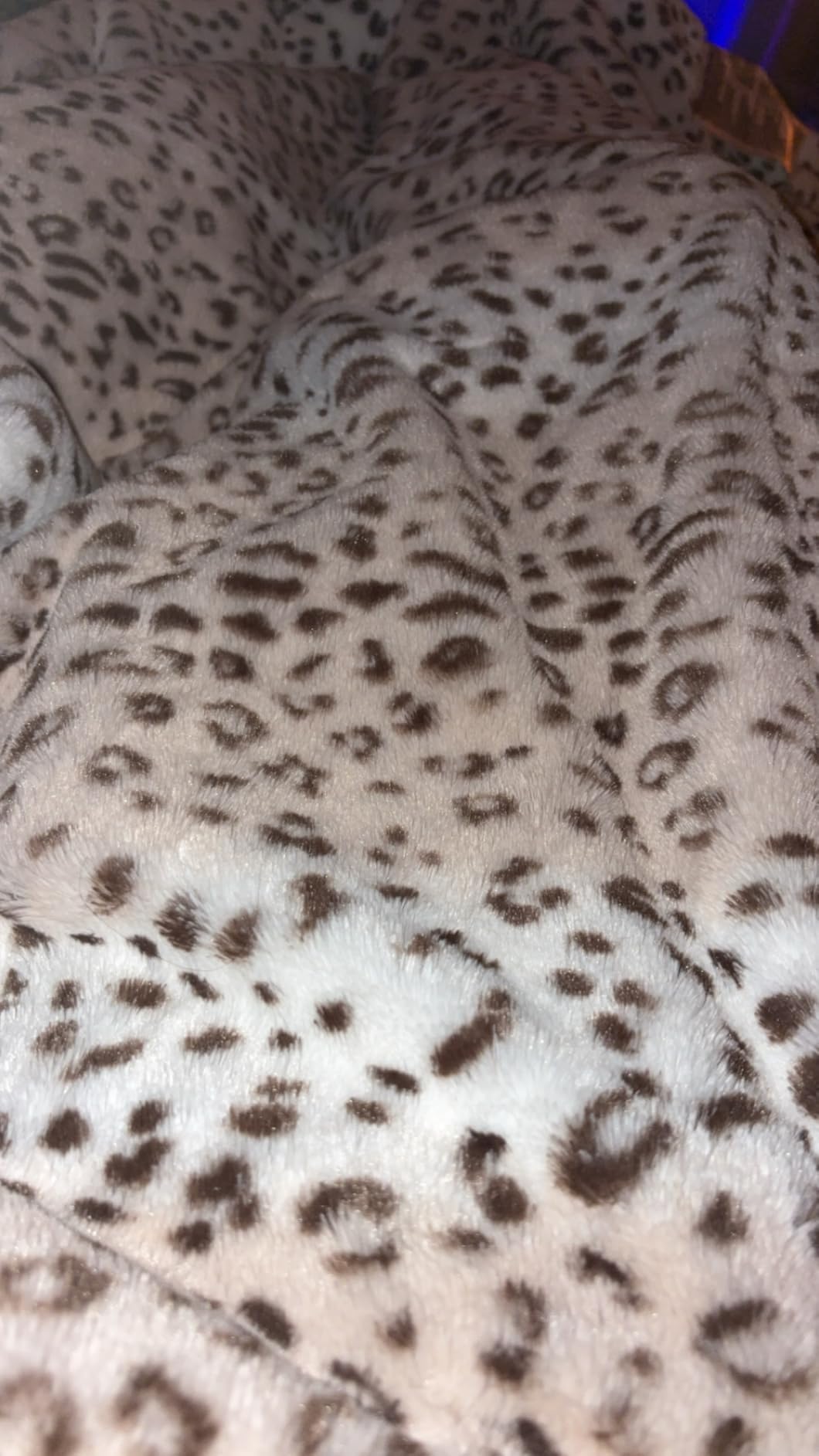 Westinghouse Heated Throw Blanket, Leopard Electric Throw Blanket, Luxury Faux Fur to Flannel Reversible, 6 Heating Levels & 2-10 Hours Time Setting, Machine Washable(Throw, 50