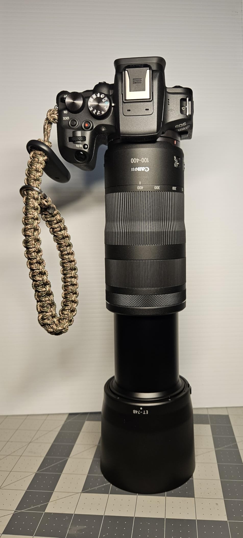 Canon RF100-400mm F5.6-8 is USM Telephoto Lens customer photo 1