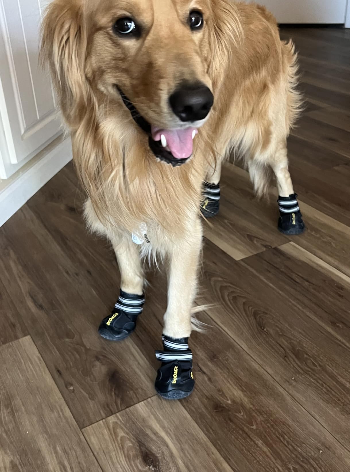 DcOaGt Dog Shoes for Large Dogs, Waterproof Anti-Slip Dog Boots & Paw Protectors for Summer Hot Pavement Winter Snow, Breathable and Reflective Dog Booties for Hiking/Walking/Outdoor/Floor customer photo 1
