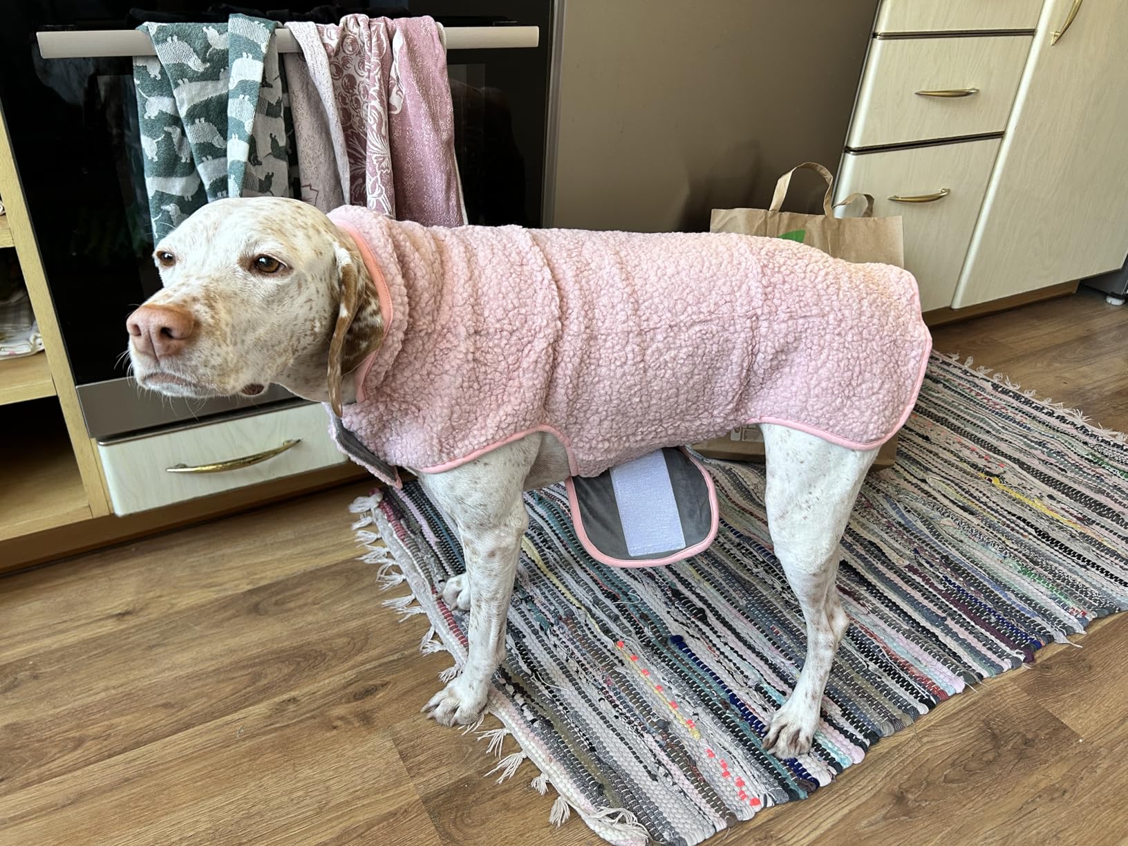 cyeollo Warm Dog Sweater Coat Jacket Thickened Thermal Sherpa Sweaters Reversible Fleece Vest Pet Clothes for Cold Weather Winter Dog Coats for Small Dogs Girl customer photo 1