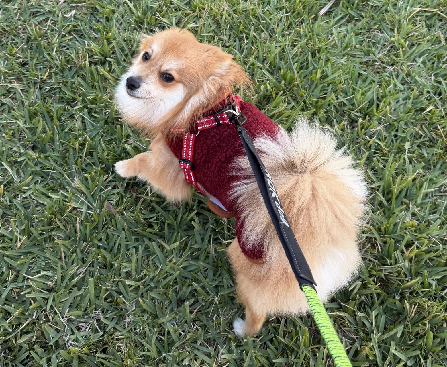 cyeollo Warm Dog Sweater Coat Jacket Thickened Thermal Sherpa Sweaters Reversible Fleece Vest Pet Clothes for Cold Weather Winter Dog Coats for Small Dogs Girl customer photo 2