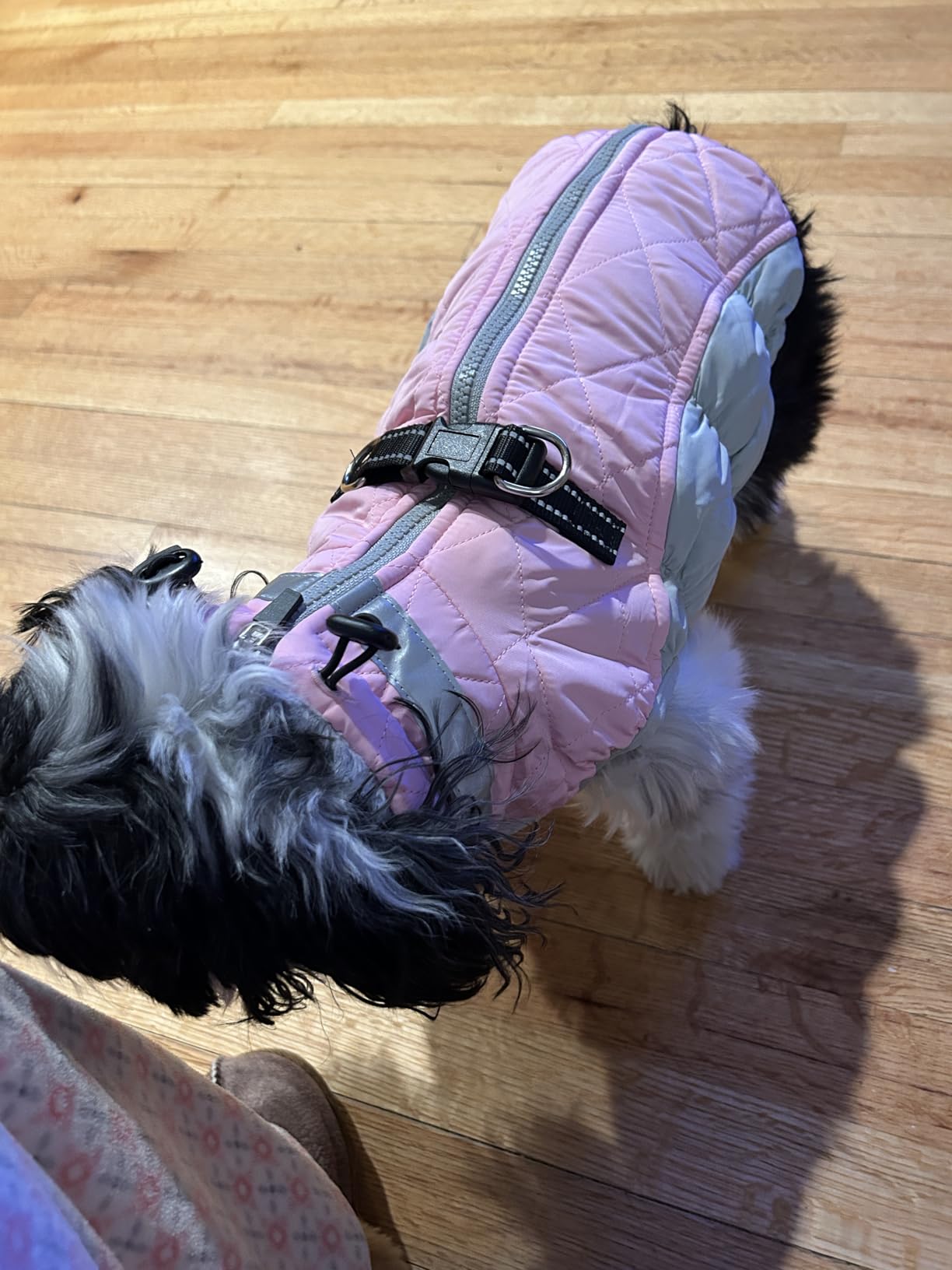 AOFITEE Dog Coat, Warm Dog Winter Coat for Small Dogs, Reflective Turtleneck Dogs Jacket with Harness Built in, Waterproof Windproof Pet Fleece Vest customer photo 1