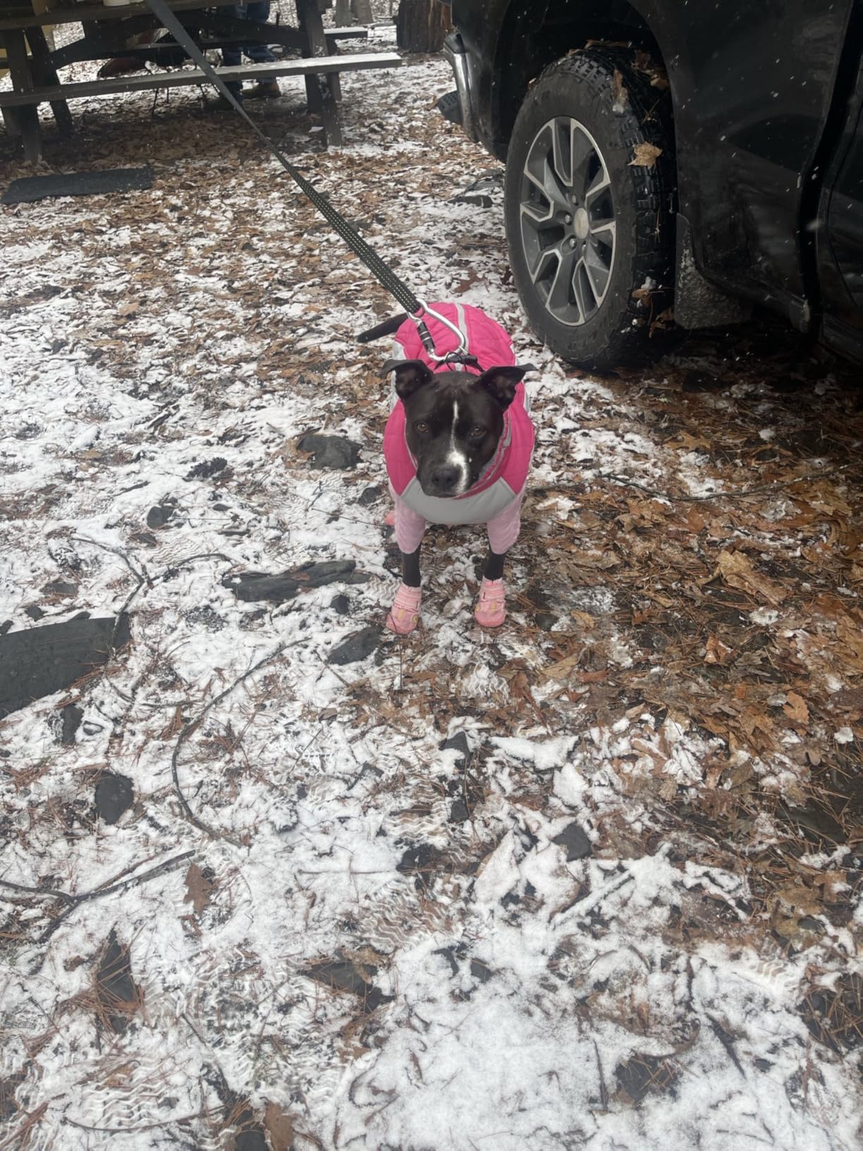 FUAMEY Dog Coat for Small Dogs, Waterproof Dog Winter Jacket with Harness Built in Puppy Cold Weather Coats Reflective Pet Vest with Zipper Warm Fleece customer photo 1