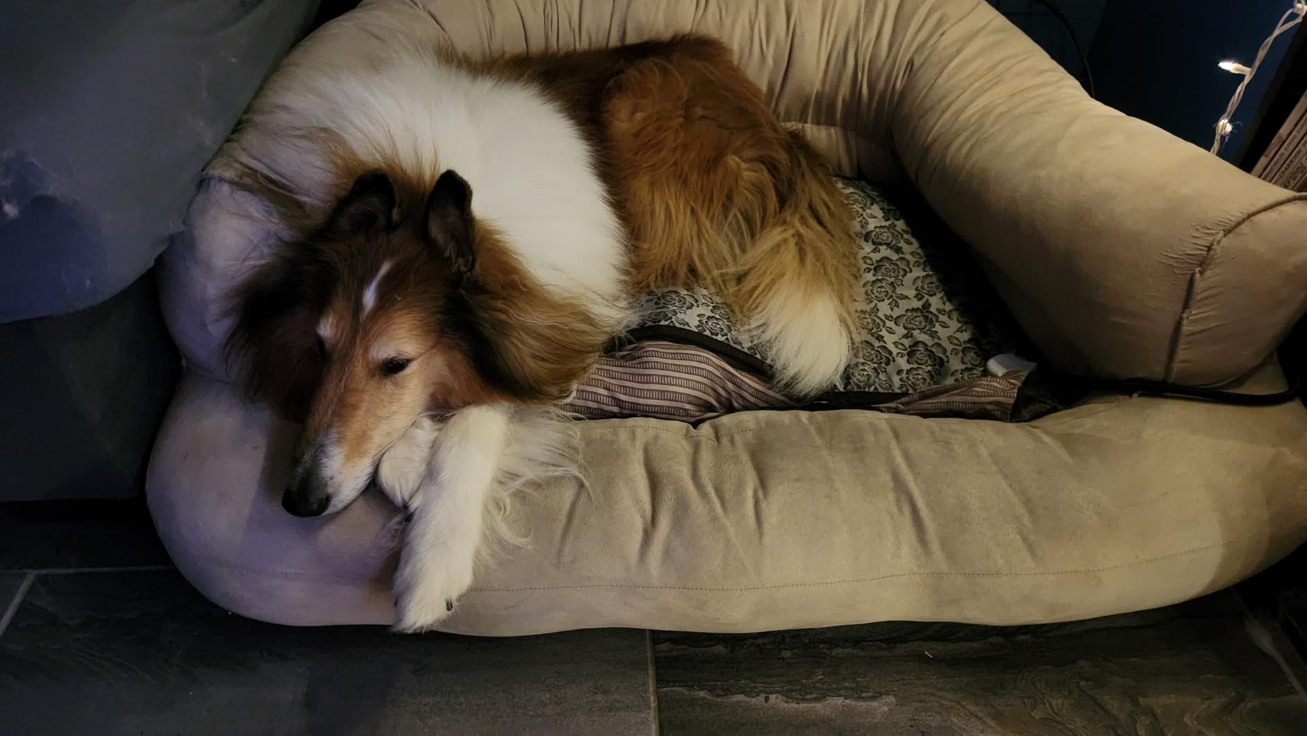 Pet Heating pad 34