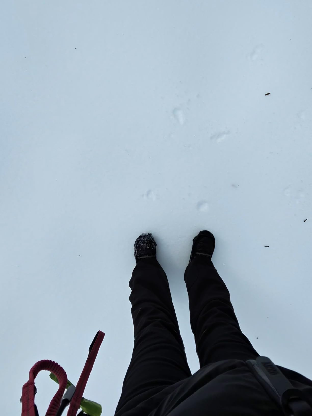 Snow Ski Pants Women Waterproof Softshell Insulated Fleece Lined Snowboard Pants Hiking Pants for Winter Outdoor customer photo 2