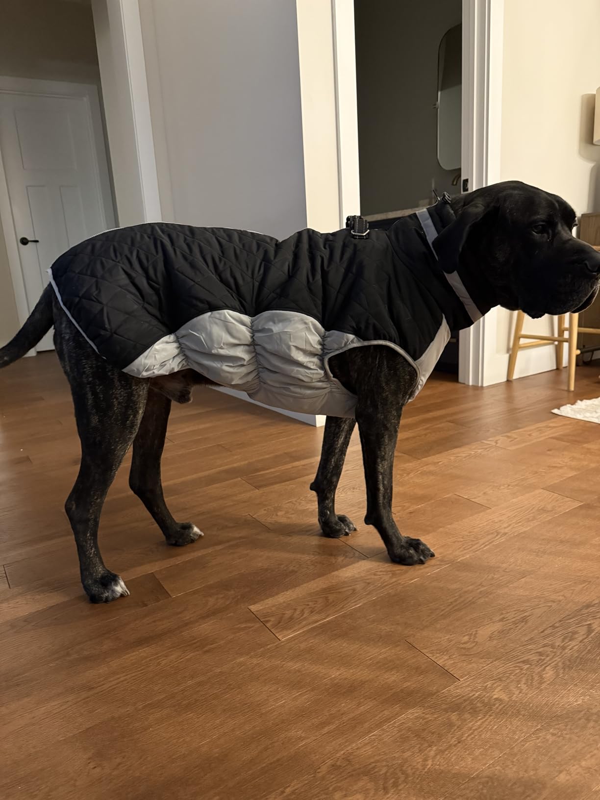 Lelepet Warm Dog Winter Coat Cold Weather Jacket Windproof Reflective Turtleneck Vest with Plush Neckline D-Ring for Leash Thick Fleece Lining Jacket Pet Apparel for Small Medium Large Dogs, XX-Large customer photo 2