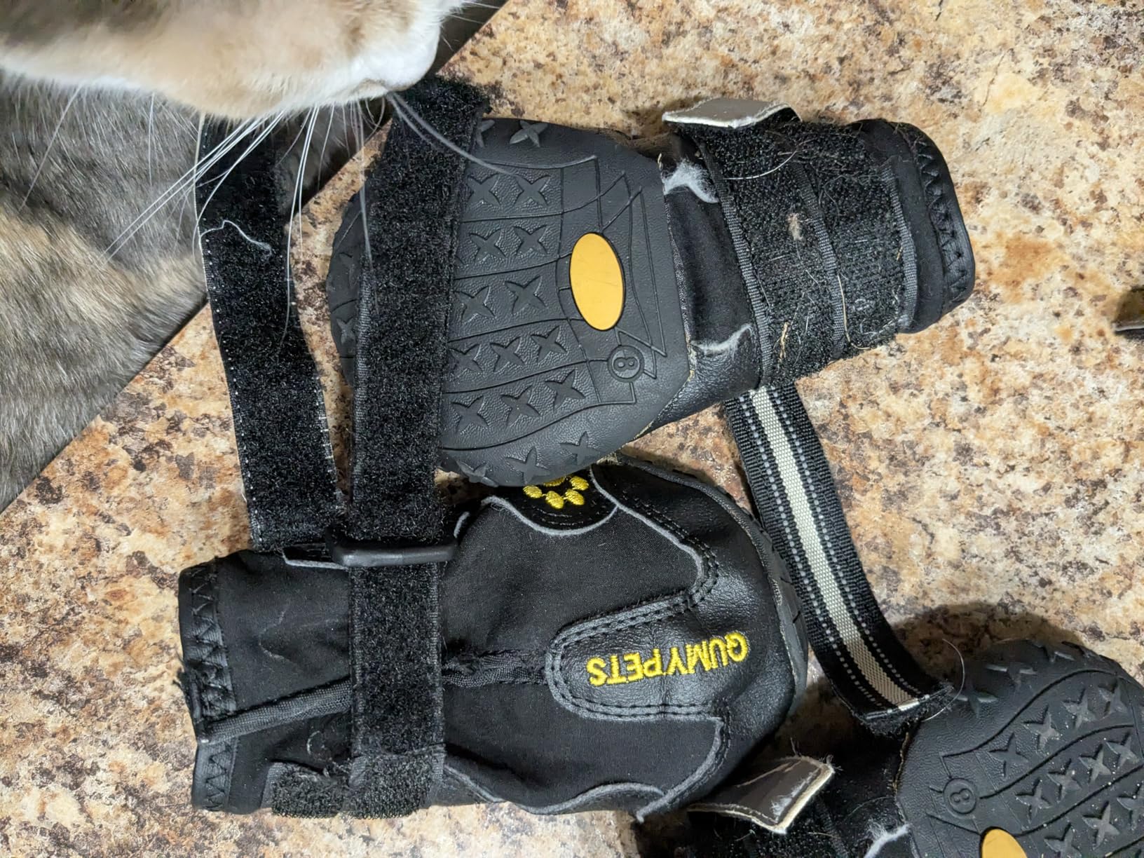 QUMY Dog Shoes for Large Dogs, Medium Dog Boots & Paw Protectors for Winter Snowy Day, Summer Hot Pavement, Water-Resistant in Rainy Weather, Outdoor Walking, Indoor Hardfloors Skid-Resistant Sole customer photo 1