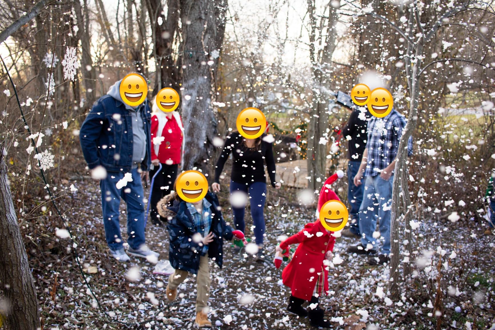 Snow Machine 600W Snow Making Machine Snowflake Maker for Christmas Wedding Kids Party Stage Effect with Remote Control customer photo 2