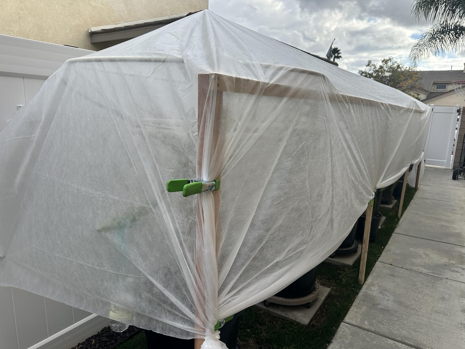 Plant Covers Freeze Protection, 10FT x 50FT 0.9oz Reusable Frost Cloth Plant Blankets Floating Row Cover for Garden Clod Winter Frost Sun Pest Protection customer photo 1