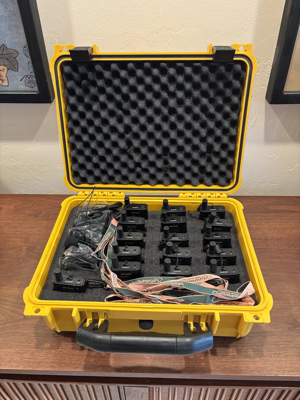 multicomp PRO Large and Medium Size Weatherproof Equipment Cases with Foam Insert (16.5 x 13 x 7 Inch) customer photo 1