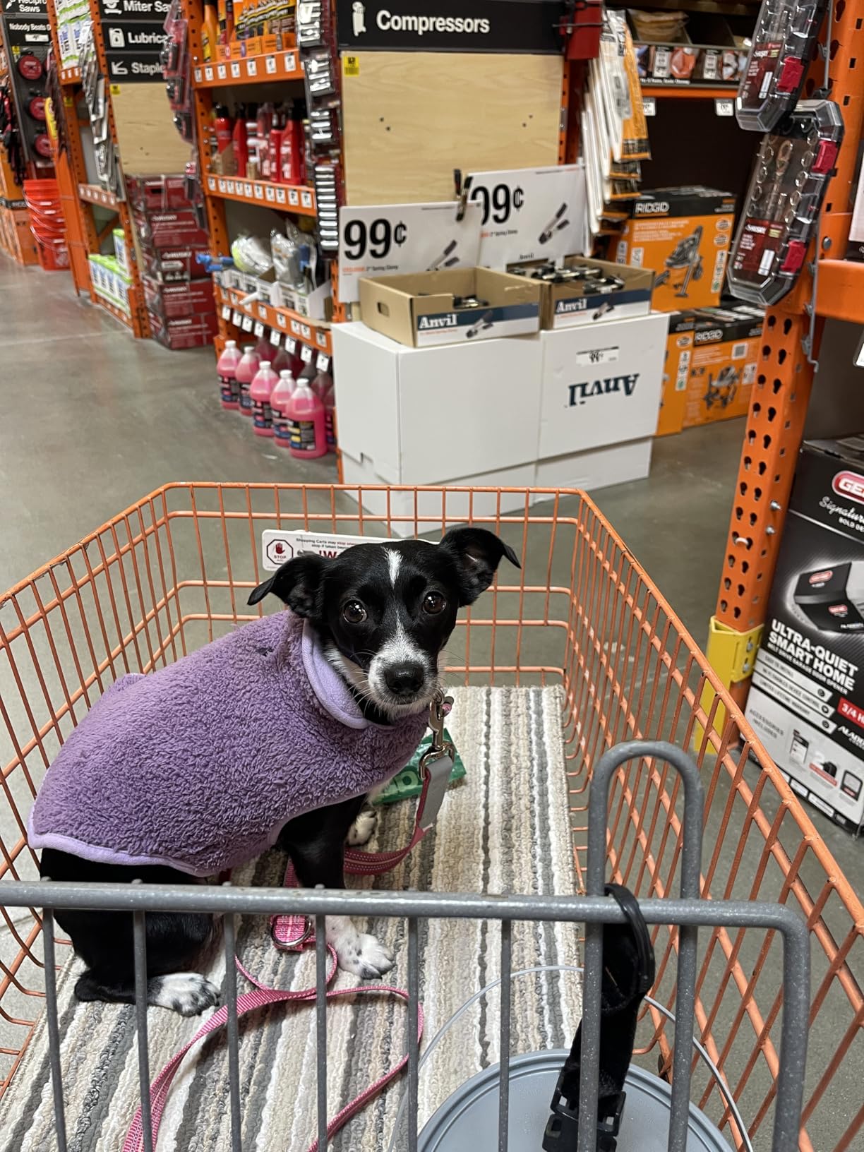 Malier Dog Winter Coat, Reversible Fleece Dog Cold Weather Coats, Windproof Warm Snow Puppy Jacket Vest Pet Clothes customer photo 1