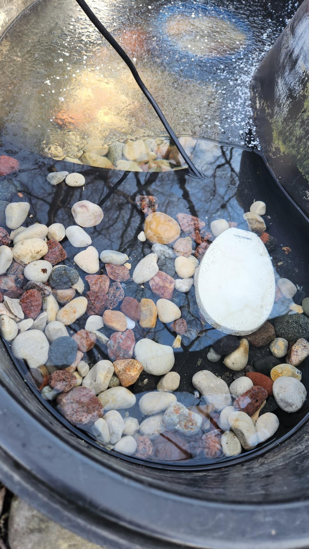 60W Bird Bath Heater, Waterproof Birdbath Deicer for Outdoors, Keep Chicken Waterers from Freezing, Fit in All Kind of Birdbaths 110V 120V customer photo 1