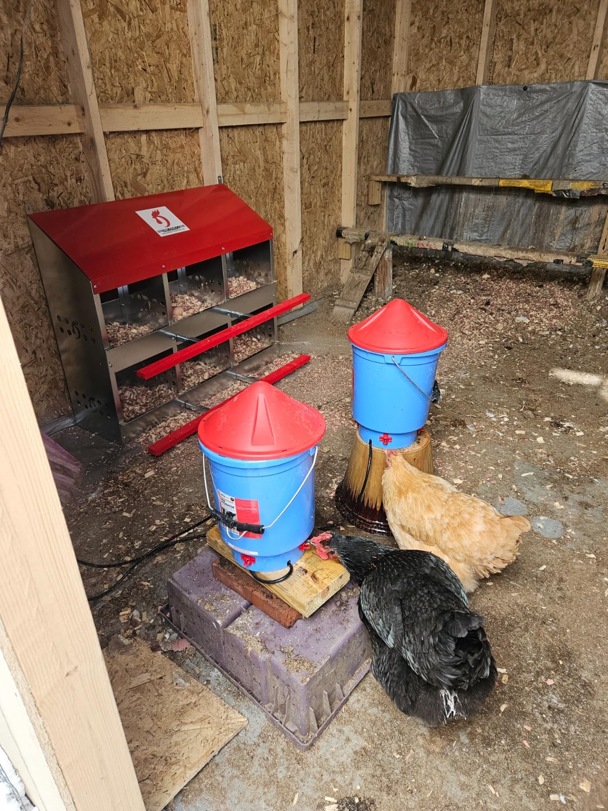 API Heated Deluxe Hen Hydrator - 3 Gallon - Heated Poultry Waterer for All Seasons customer photo 1