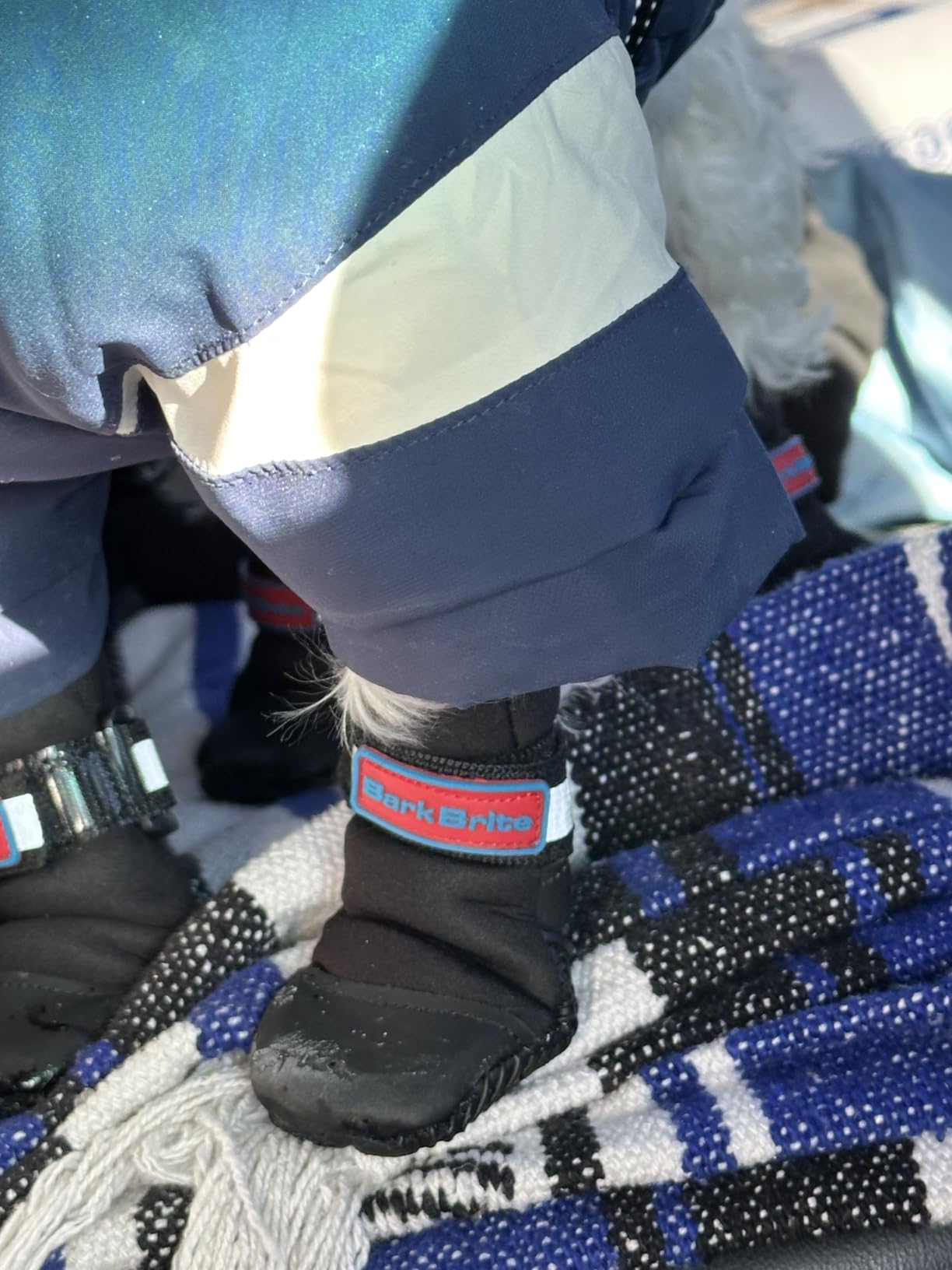All Weather Neoprene Paw Protector Dog Boots with Reflective Straps in 5 Sizes (Turquoise XXL) customer photo 1