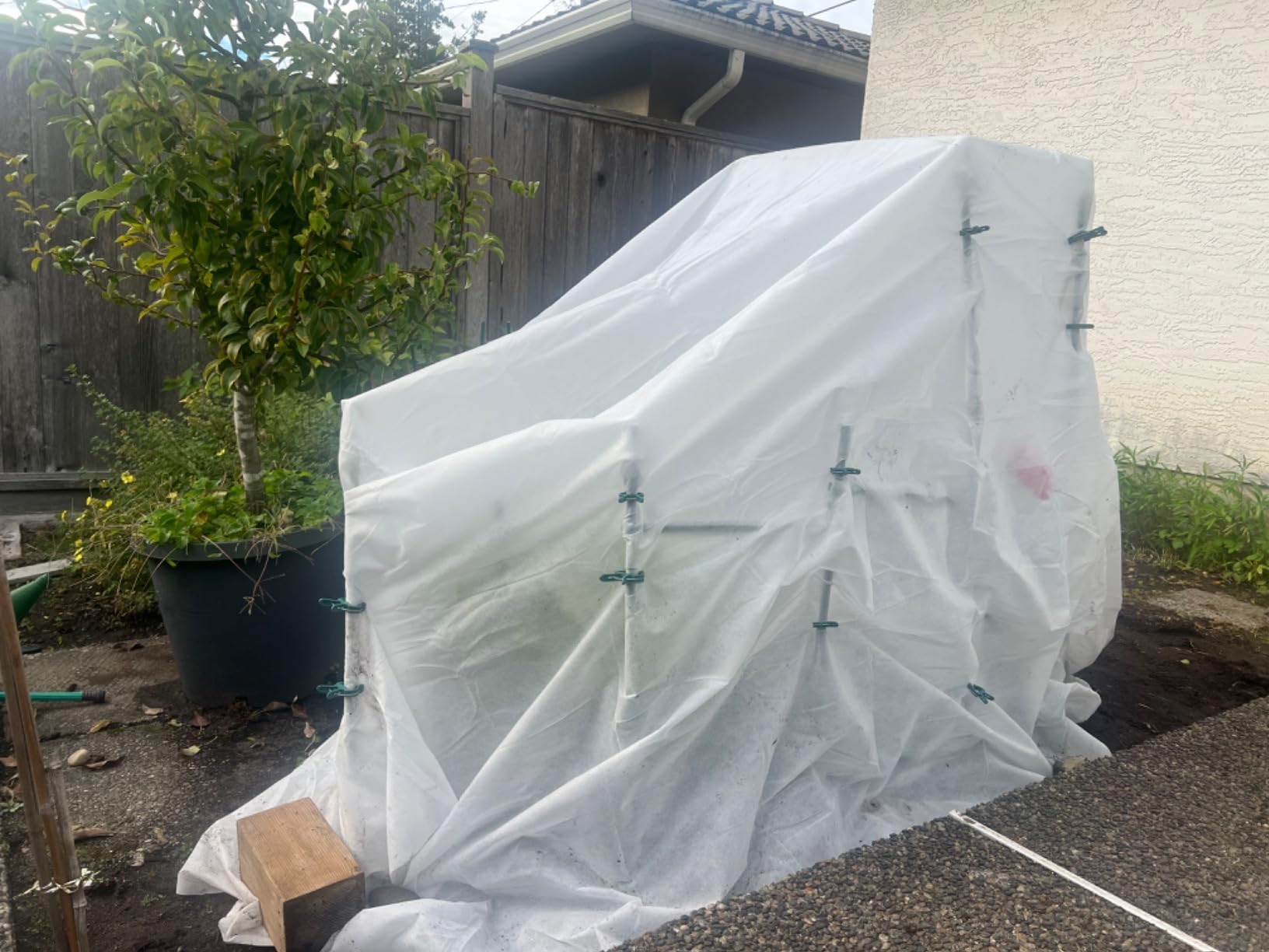 Thicker Plant Covers Freeze Protection 1.77 oz/yd², 10ft x 33ft Reusable Floating Row Cover for Garden, Frost Cloth Plant Freeze Protection, Plant Blanket for Outdoor Plants customer photo 2