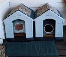 Elevon Plastic Dog House, Insulated Doghouse Puppy Shelter, Water Resistant Easy Assembly Sturdy Dog Kennel with Elevated Floor and Air Vents, Ventilate for Small to Large Sized Dogs (29-Inch, Blue) customer photo 2