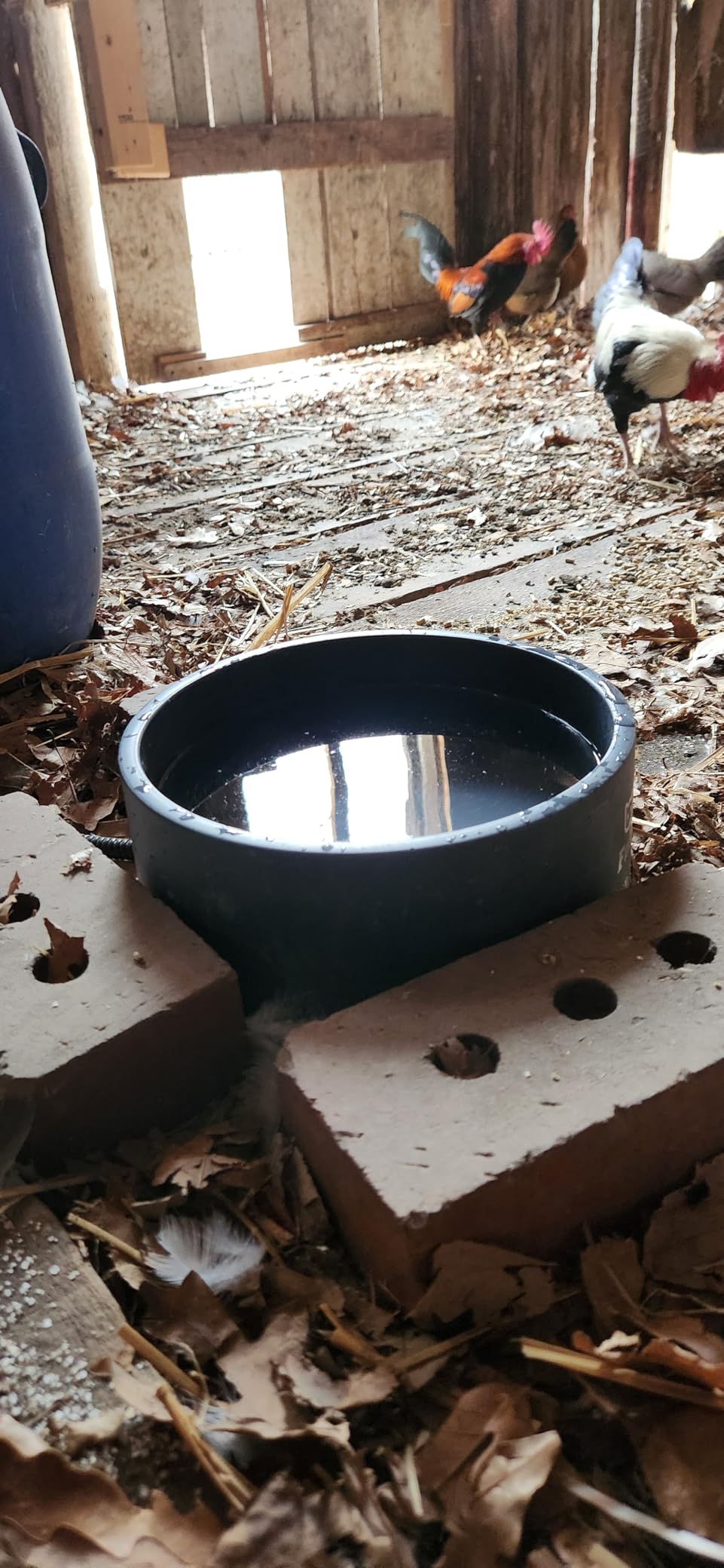 Large Heated Water Bowl, Outdoor Heated Dog Bowl with Chew Resistant Power Cord, Thermal Bowl Provide Drinkable Water in Winter, Heated Pet Bowl for Cat Rabbit Chicken Duck Squirrel 0.85 Gal customer photo 1