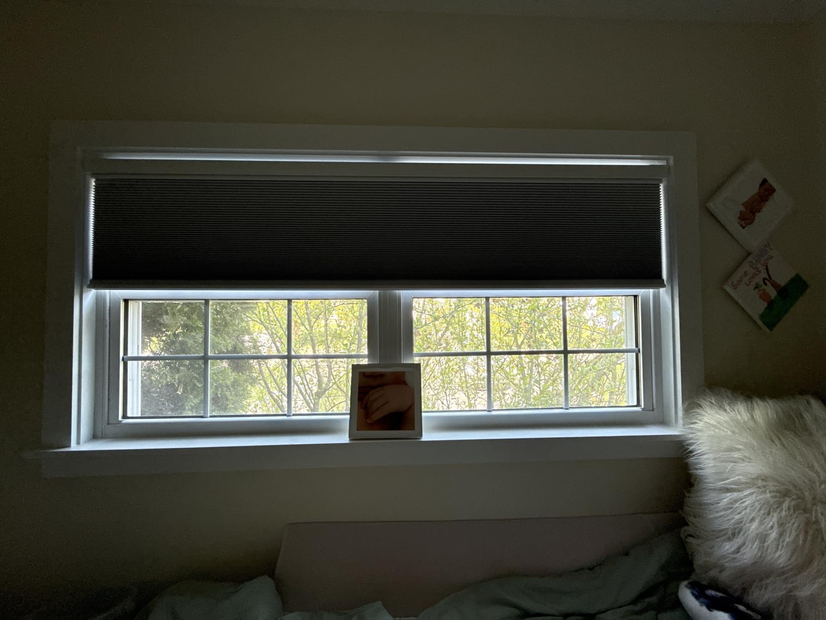 BERISSA No Tools No Drill Blackout Cellular Shades Top Down Bottom Up Cordless Honeycomb Blinds for Indoor Windows Easy to Install Thermal Insulated Noise Reduction, Custom Size (Blackout) White customer photo 1