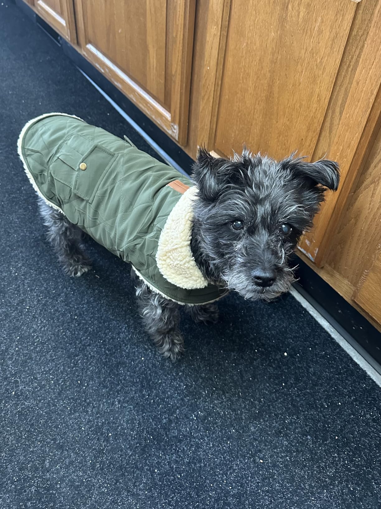 ASENKU Warm Dog Winter Coat, Waterproof Dog Coat for Cold Weather, Fleece Dogs Jacket with Ultra Thick Plush Lining Leash Hole Storage Pockets for Small Dogs customer photo 1