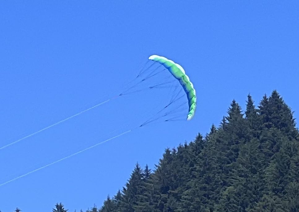Prism Kite Technology Synapse Dual-line Parafoil Kite - Synapse 200, Coastal customer photo 1