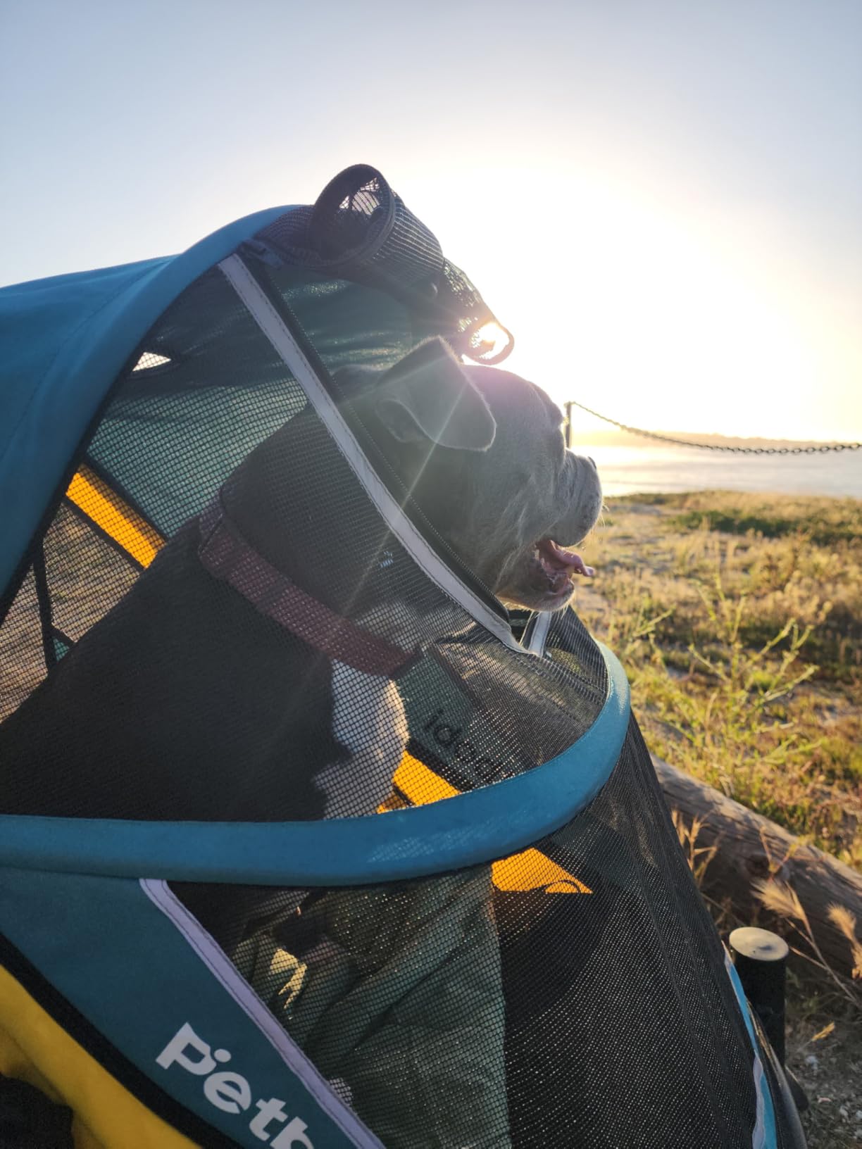 Petbobi Dog Stroller for Large & Medium Dogs - Easy Fold Dual Entry Pet Stroller with One-Foot Brake, All Terrain Wagon Cart with Air Mesh, Ideal for Large Senior Pets up to 80 lbs customer photo 2