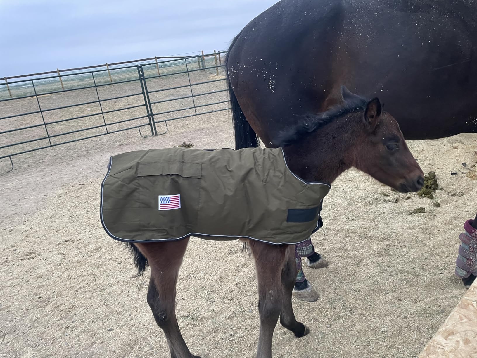 BEAUTYZOO Dog Winter Coat for X-Large Dogs Waterproof, Warm Reflective Great Dane Oxford Canvas Jacket, Fleece Dog Cold Weather Coats Windproof for Female Male Dogs customer photo 2