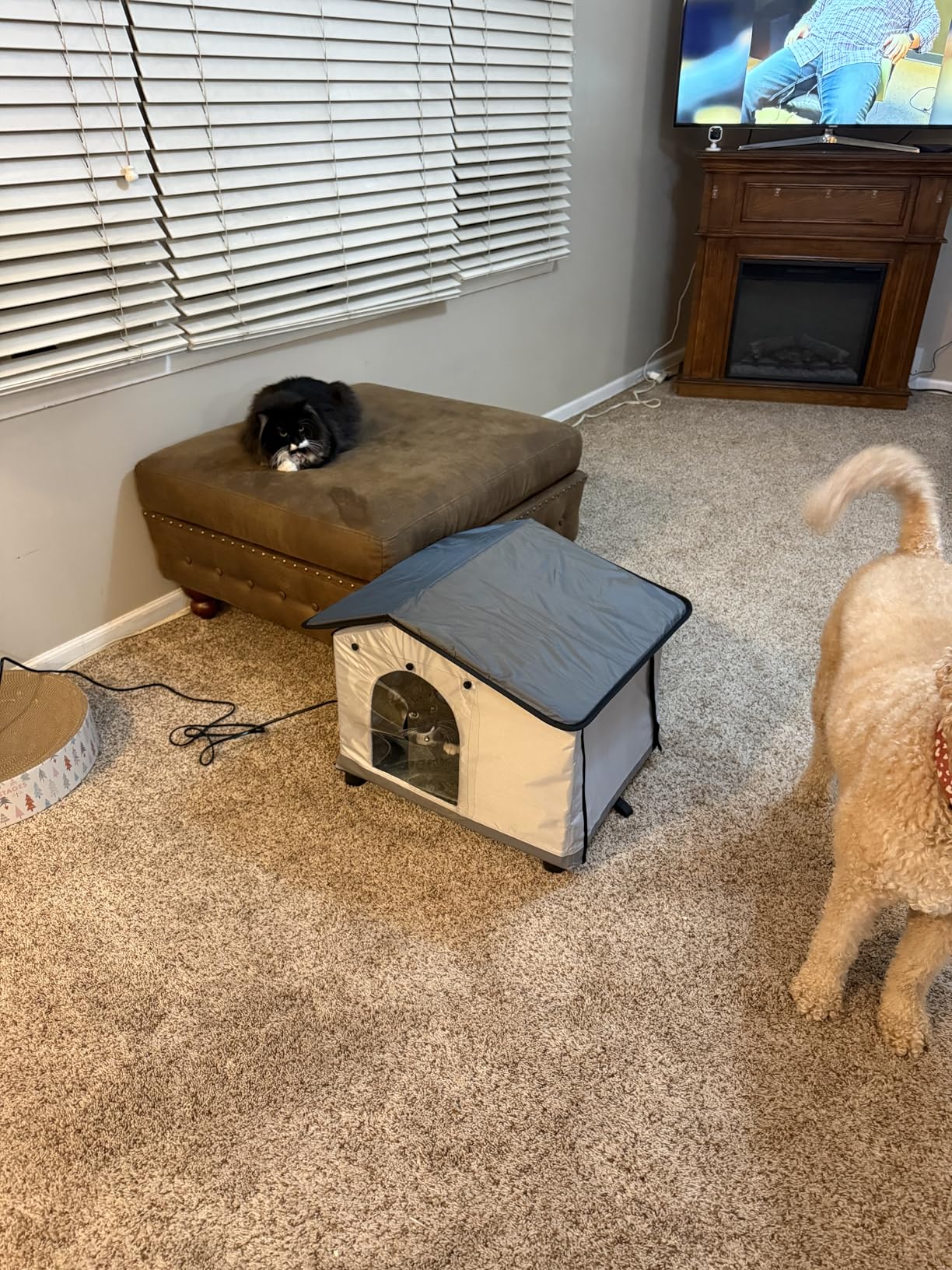 SHU UFANRO Insulated Heated Cat House Indoor/Outdoor, Elevated Cat House with Heated Pad for Winter, Outside Weatherproof Shelter for Feral Cats and Small Dogs (20