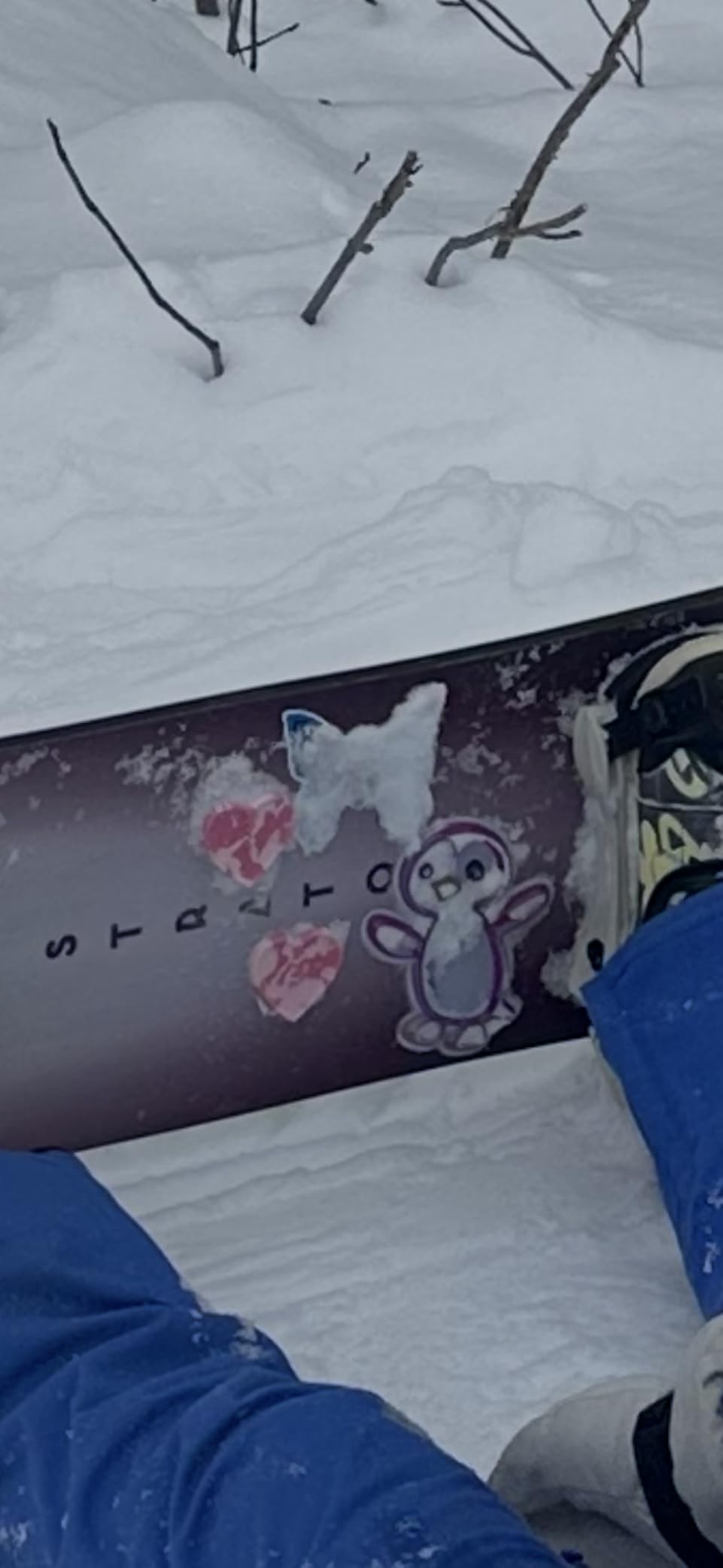 Stompgrip Premium Snowboard Stomp Pad | Polly | 3D Collection | 3D Decal customer photo 2