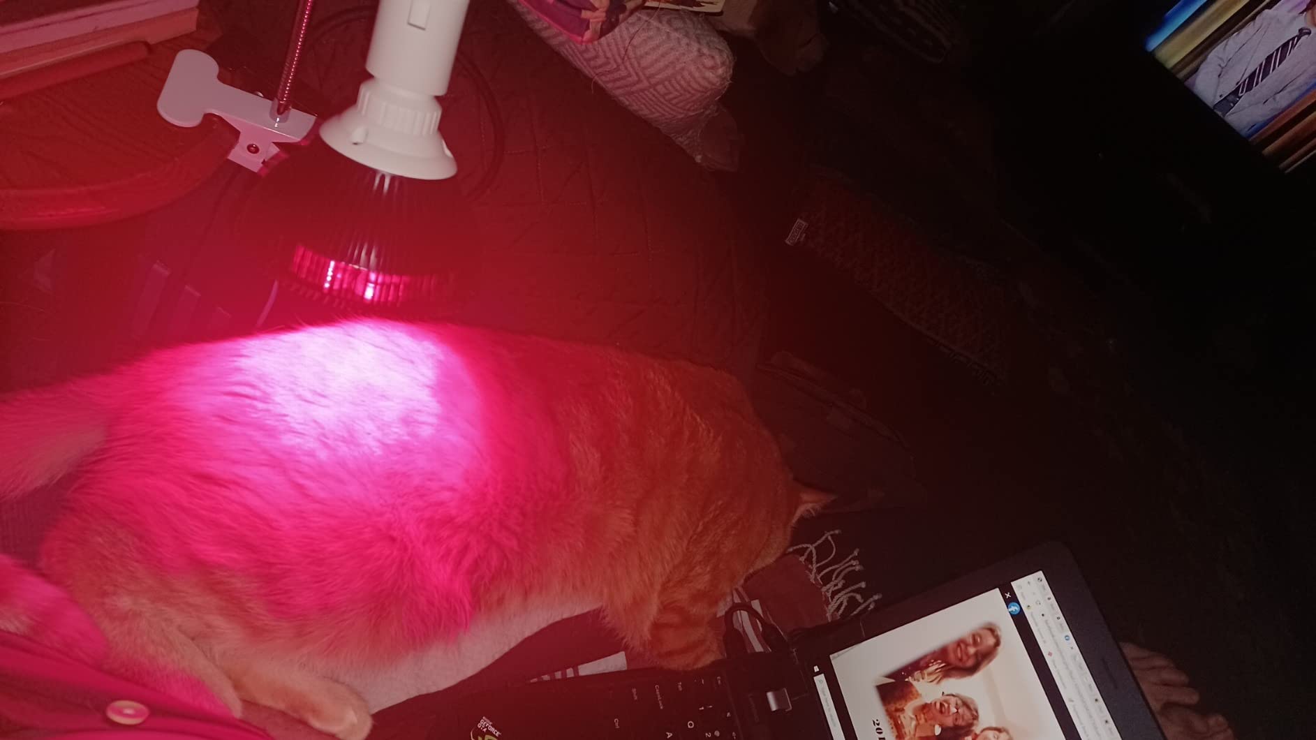 Wolezek Red Light Therapy Lamp - LED Face & Body Treatment, Adjustable Stand, 18 LEDs 660nm & 850nm Combo customer photo 2