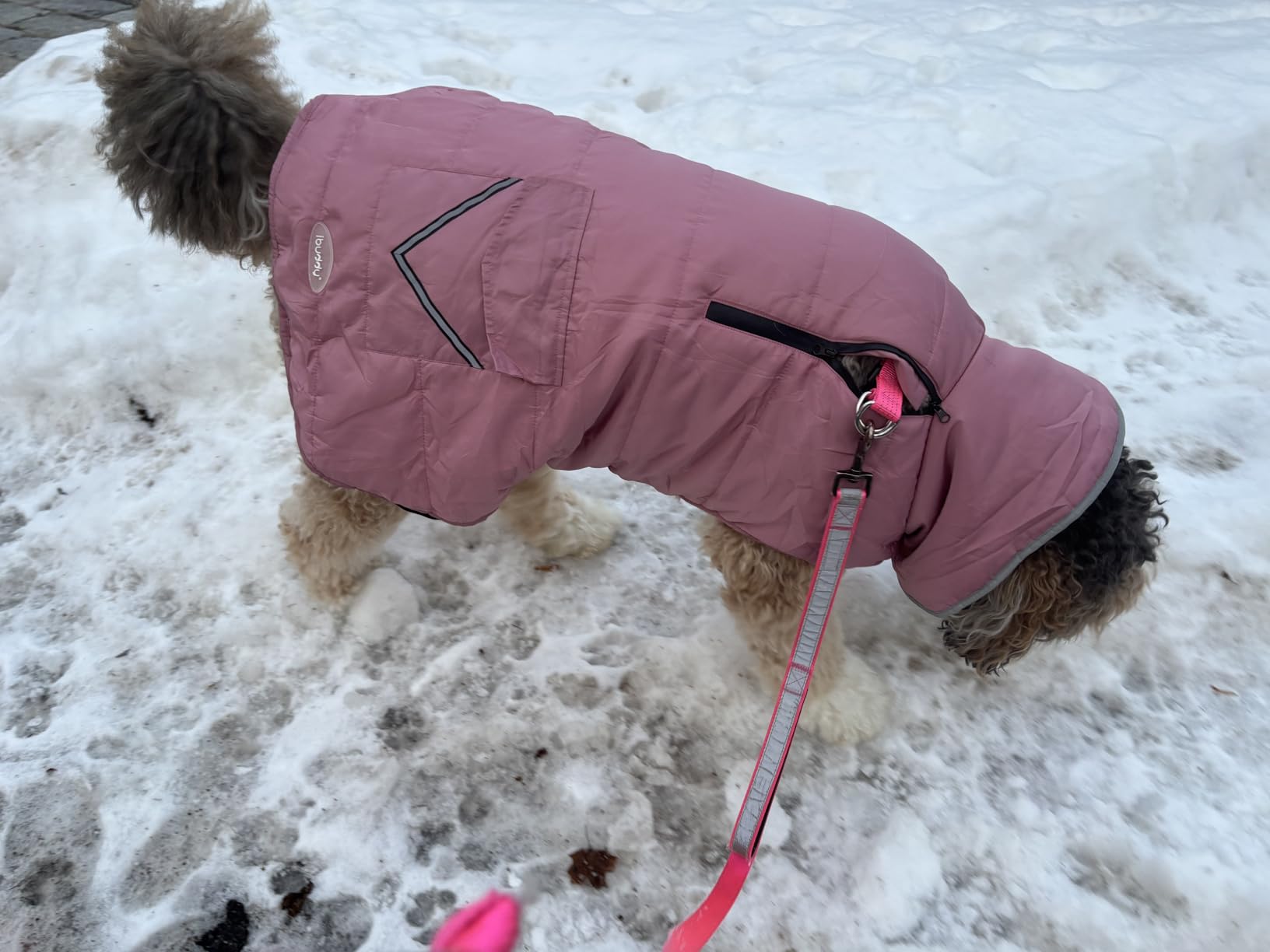 Dog Winter Coat for Large Dogs, Easy on Dog Snow Coat Velcro Waterproof Pet Puffer Jacket with Harness Hole Adjustable Reflective Quilted Pet Cold Weather Vest Wind-Poof for Pitbull Boy Girl customer photo 2