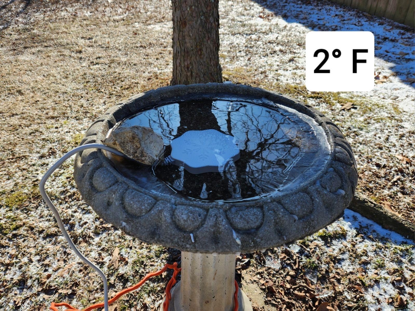 Bird Bath Heater for Outdoors in Winter, 80W Thermostatic Controlled Auto Shut Off Birdbaths Deicer, Winter Water Heated De-icer for Livestock and Poultry in Farm and Yard (2PCS) customer photo 1