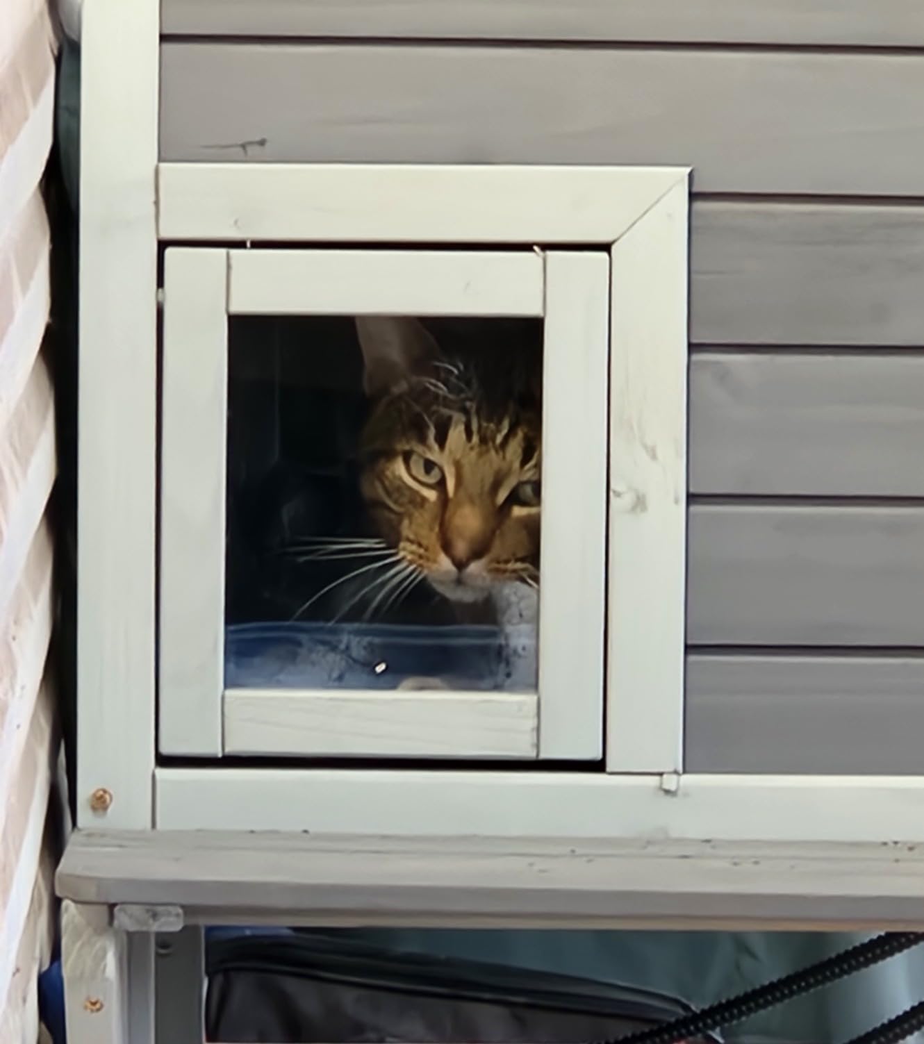 Aivituvin Heated Cat House with Heating Pad Insulated Liner, Large Heated Feral Cats Shelter, Weatherproof Cat Condos for Outdoor Indoor Cats customer photo 1