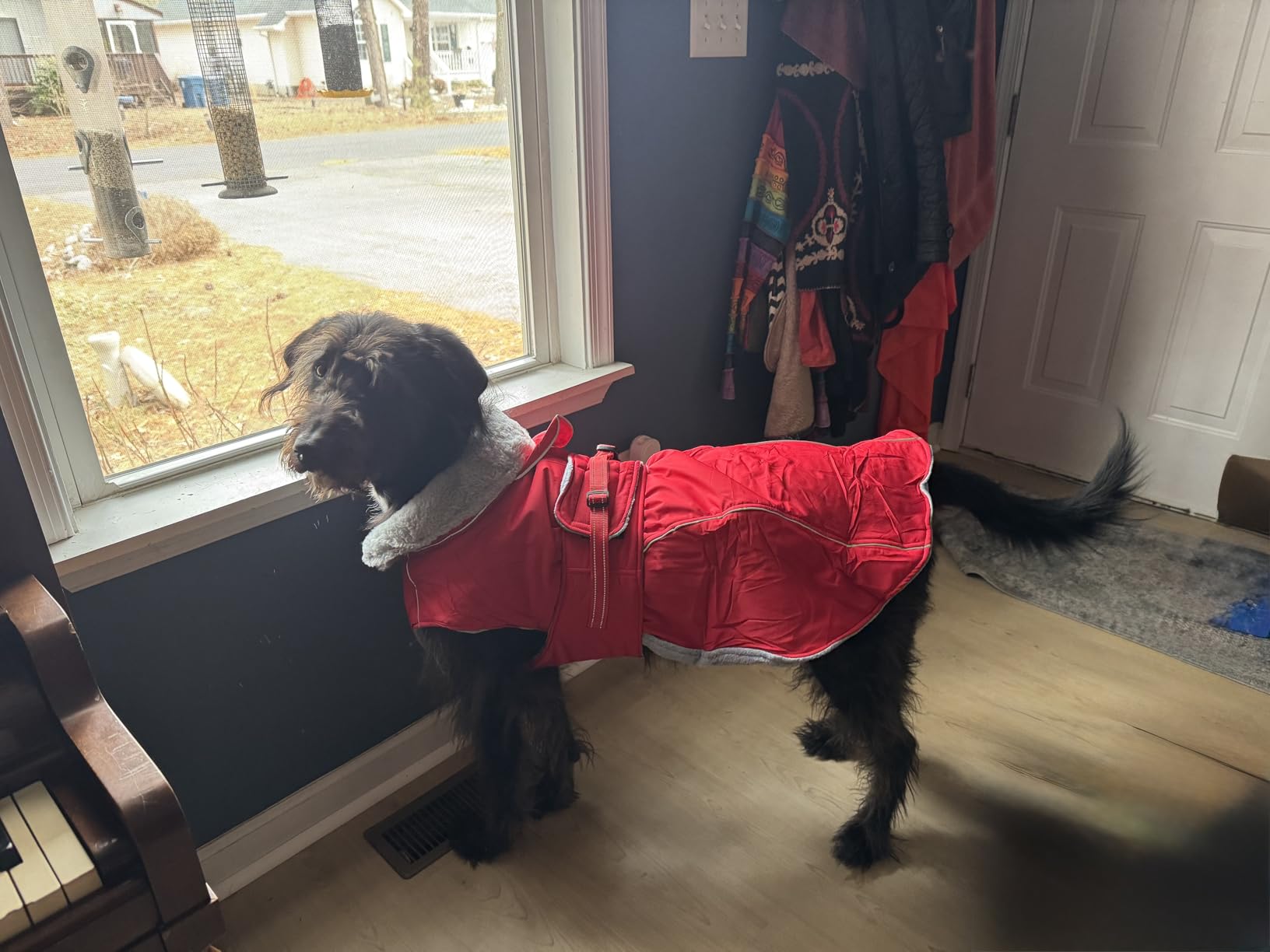 Lelepet Warm Dog Coat Reflective Fleece Vest Waterproof Dog Jacket with Adjustable Buckle Hook & Loop Windproof Cold Weather Coats for Small Medium Large Dogs customer photo 1