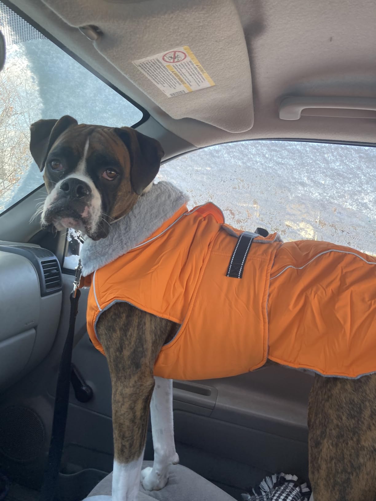 Lelepet Warm Dog Coat Reflective Fleece Vest Waterproof Dog Jacket with Adjustable Buckle Hook & Loop Windproof Cold Weather Coats for Small Medium Large Dogs customer photo 2