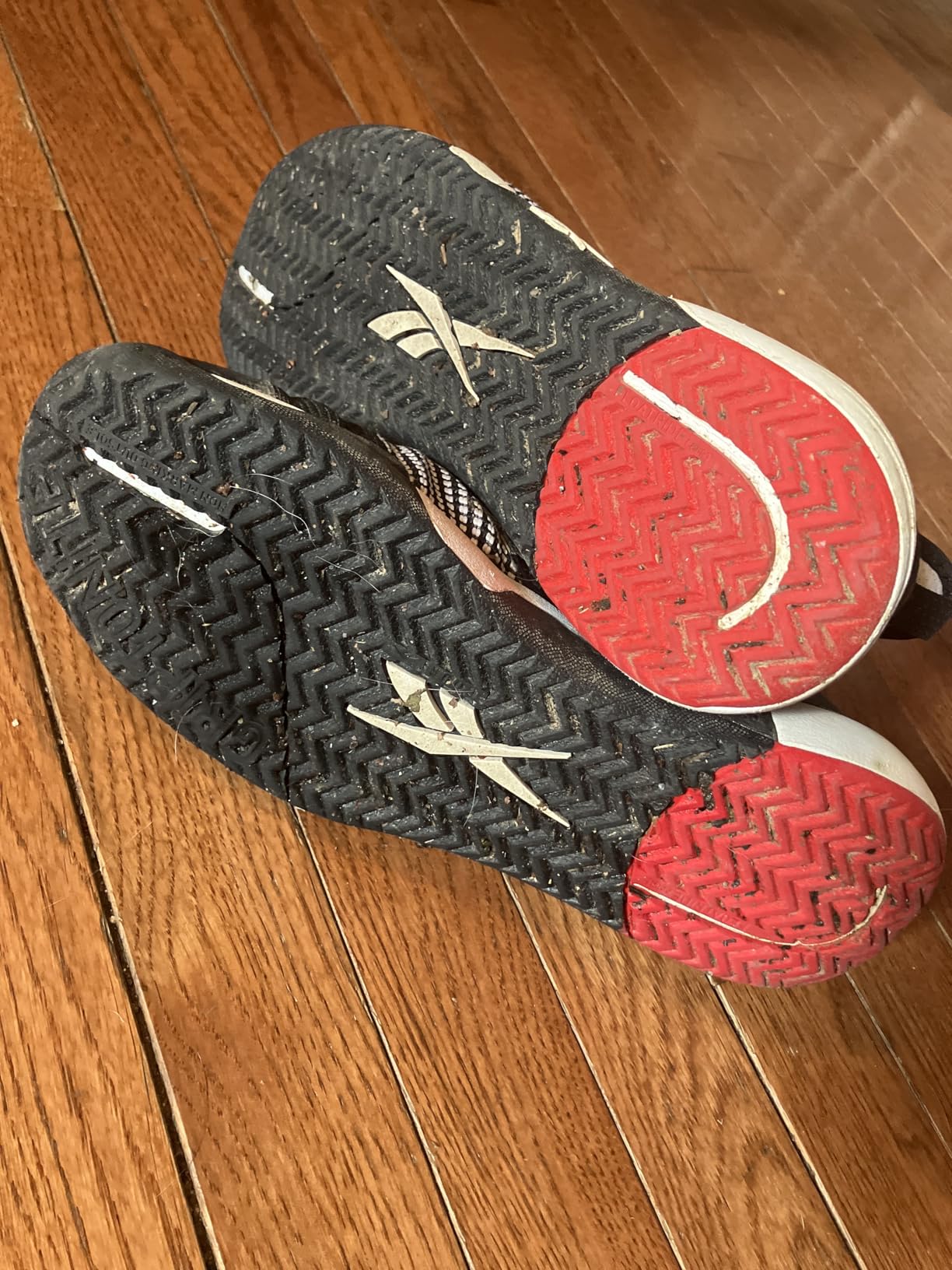 Reebok Men's Nano Court Sport Pickleball Shoes customer photo 1