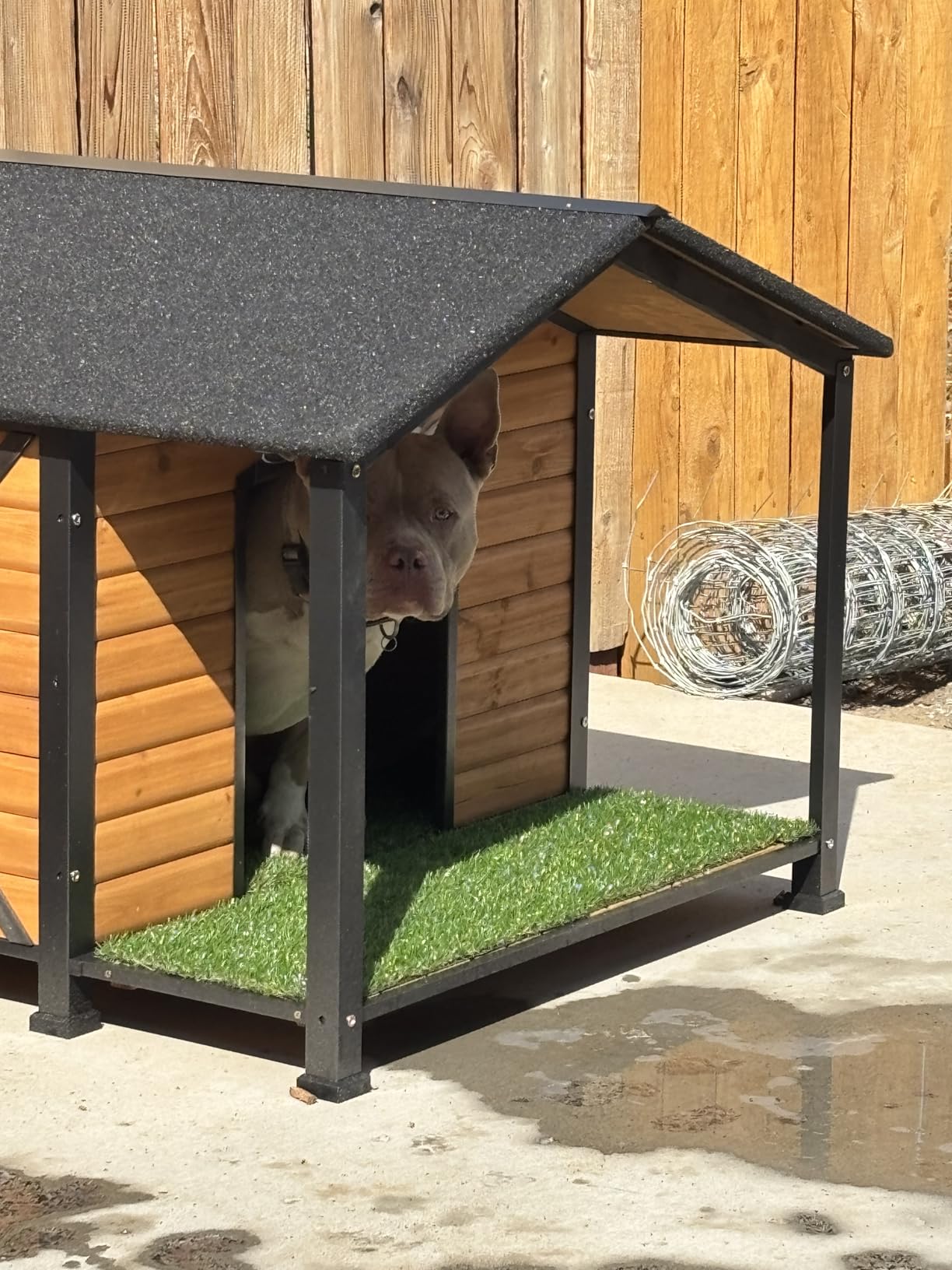 Dog House Outdoor Large Insulated Dog Kennel with Liner for Winter Waterproof Dog Cage for Small & Medium & Large Dogs, Unique All-Around Iron Frame customer photo 1