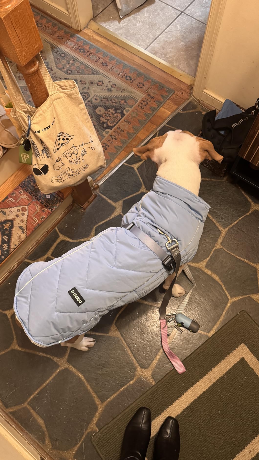 DJANGO Insulated Puffer Dog Jacket with Harness Hole - Warm, Water-Repellent Winter Dog Coat for Large Dogs - Adjustable, Reflective Cold Weather Dog Apparel for Fall, Snow, Rain, Dusk Blue, Large customer photo 1