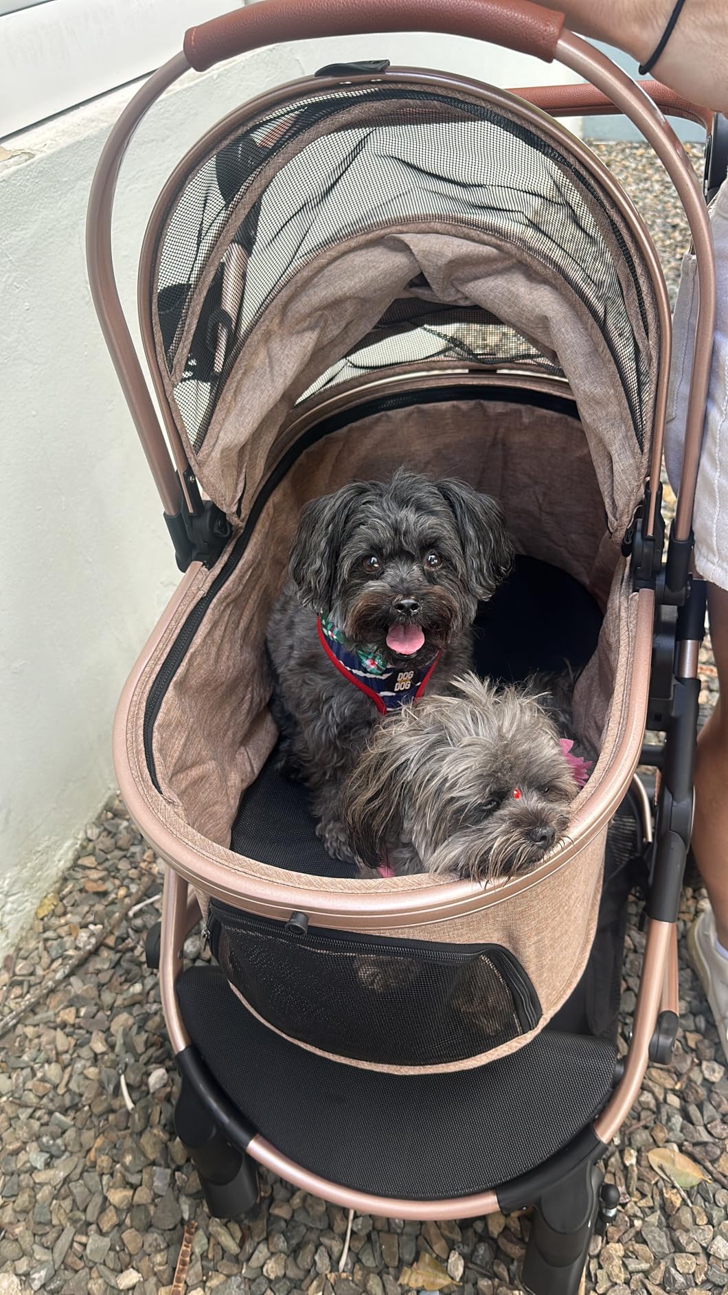 Bicystar Pet Stroller for Medium Dogs, Smooth-Ride Dog Stroller with Detachable Carrier, Rubber Wheels, Car Seat Combo 3-in-1, Up to 50 lbs, for Senior Dogs & Cats customer photo 1