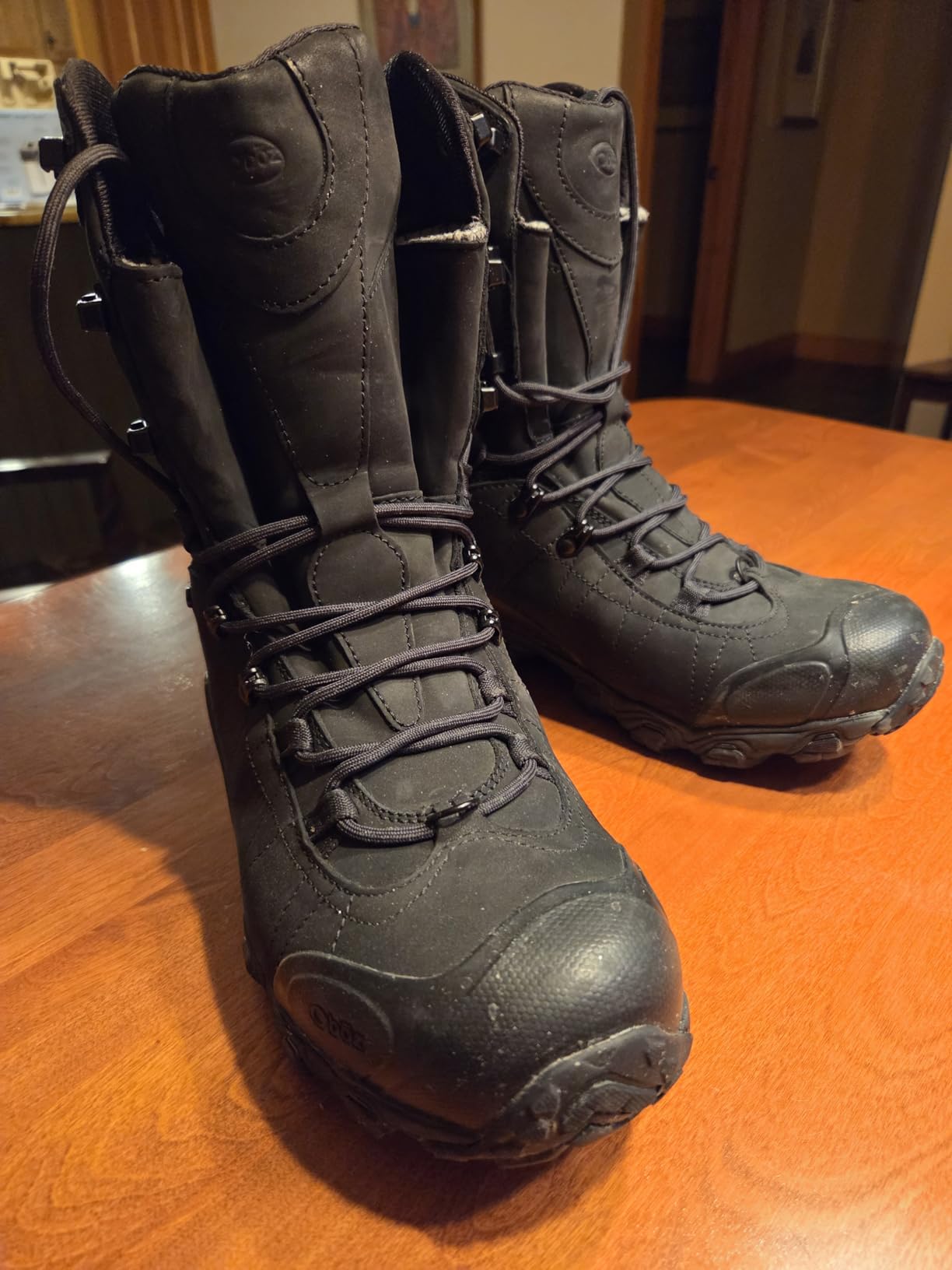 Men's Bridger 10