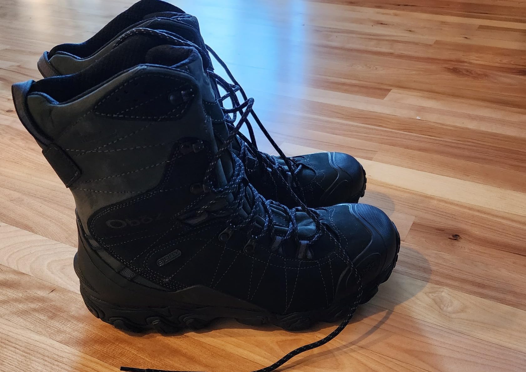 Men's Bridger 10