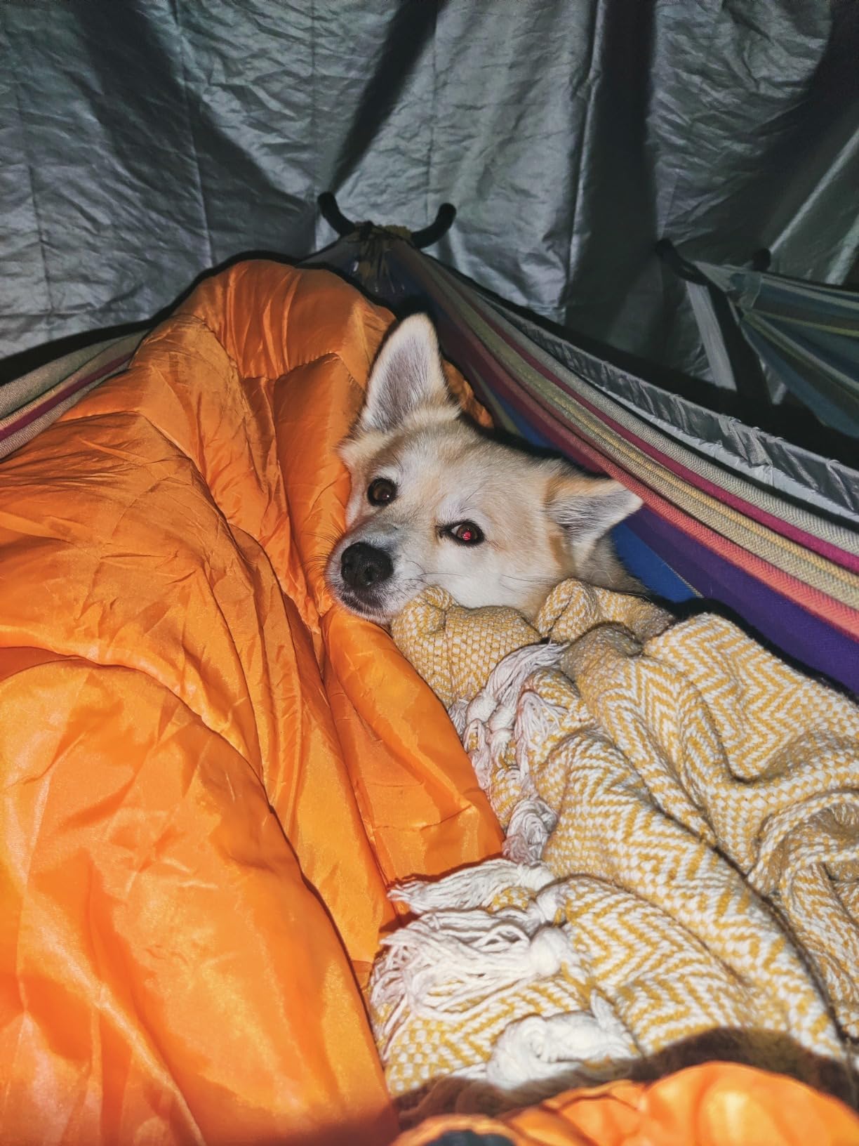 Sea to Summit Reactor Insulated Sleeping Bag Liner customer photo 2