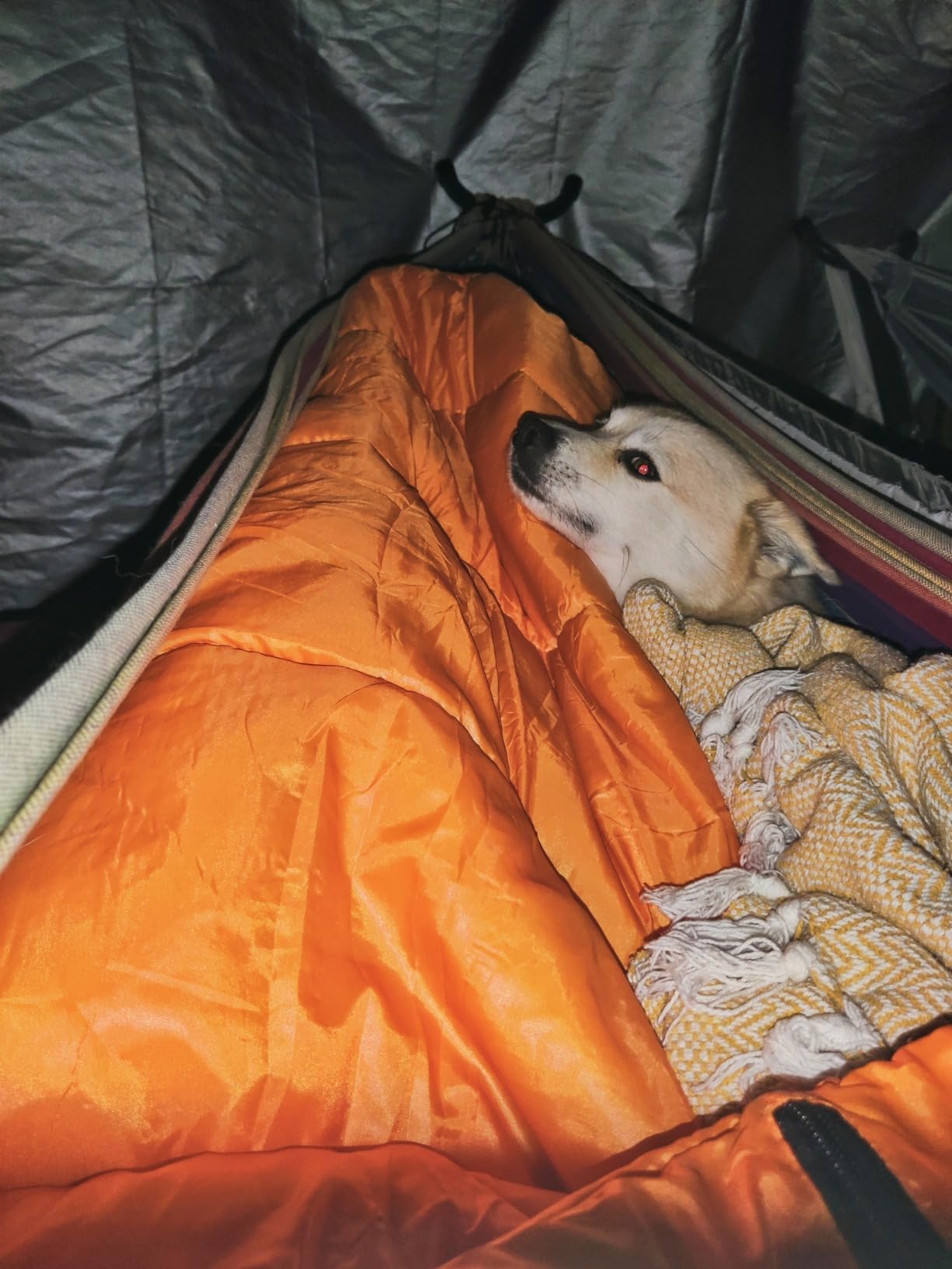 Sea to Summit Reactor Insulated Sleeping Bag Liner customer photo 2