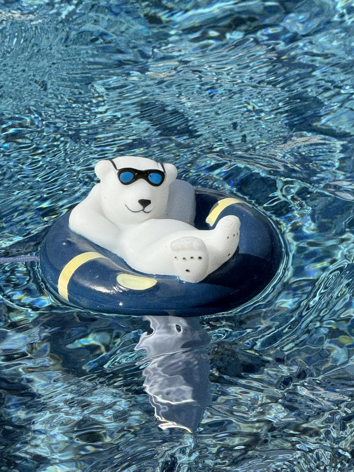 Pool Thermometer Floating Easy Read, Leisurely Polar Bear Water Thermometer for Ice Bath with String, for Outdoor & Indoor Swimming Pools, Spas, Hot Tubs & Aquariums customer photo 1