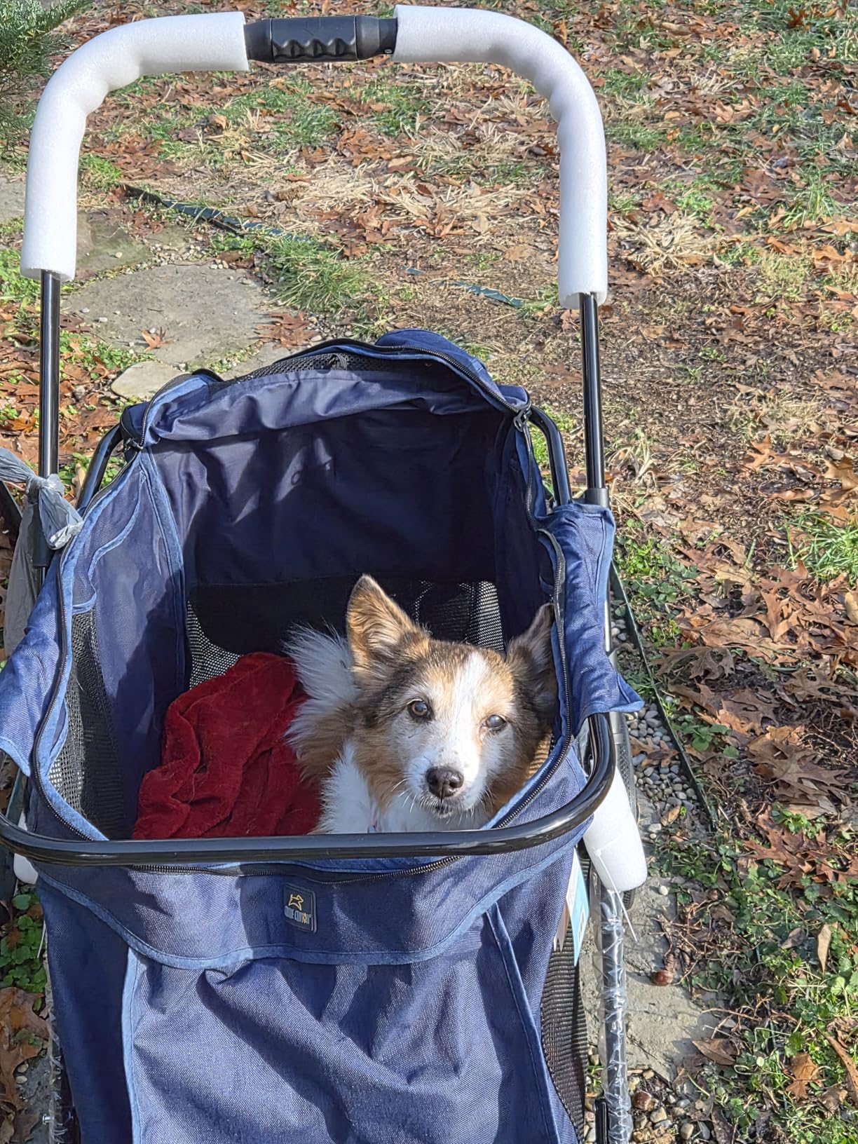 CANINE CANYON Scout Pet Stroller, Heavy Duty Dog Stroller for Large/Medium Dogs, Foldable Pet Stroller for 2 Small Dogs with All-Terrain Wheels, Storage Pocket & Cup Holder, 55 lbs Capacity, Navy Blue customer photo 1