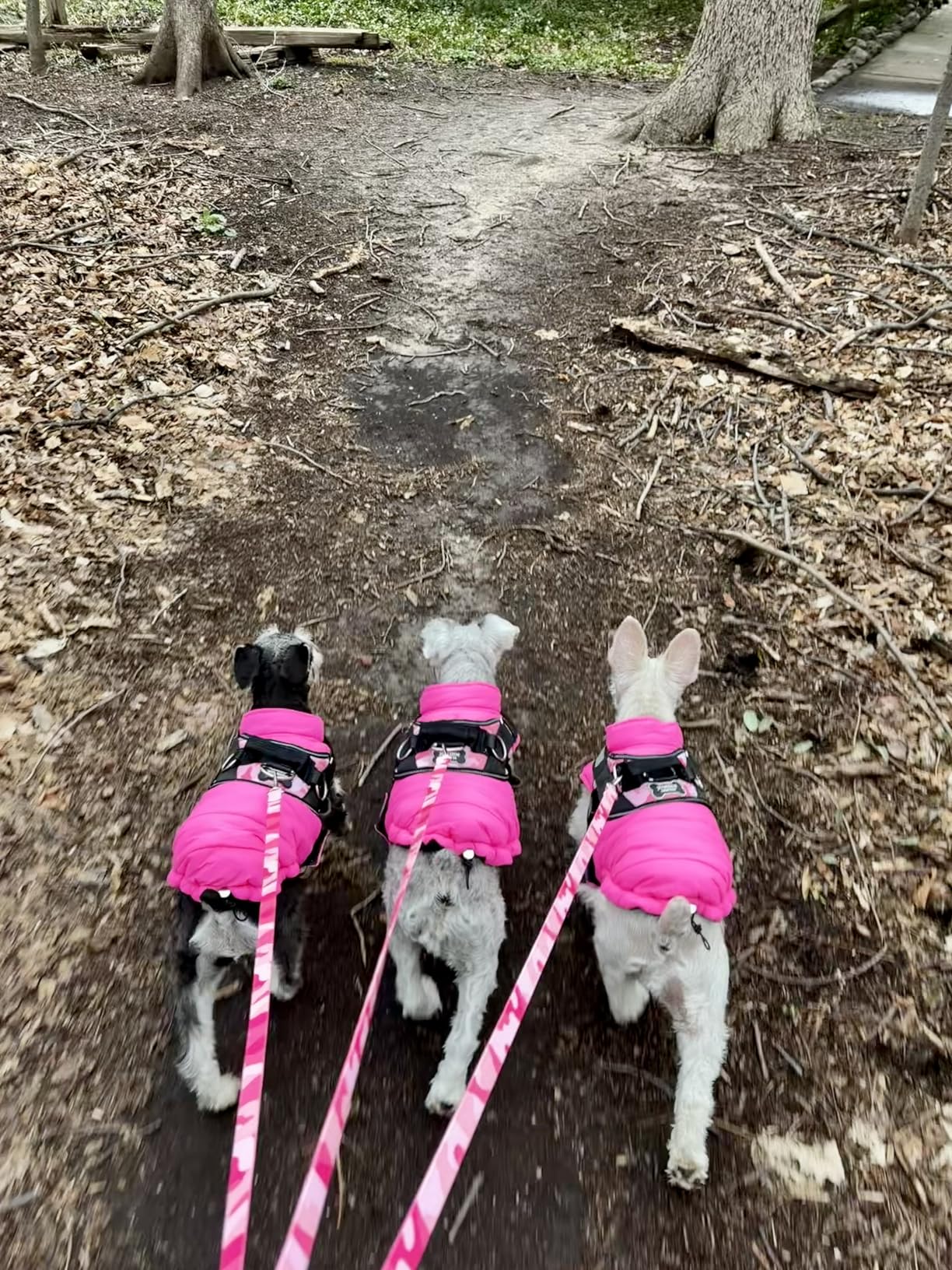Lelepet Reversible Dog Coat Waterproof Dog Jacket Windproof Puffer Vest for Winter Warm Lightweight Coats for Large Dogs Adjustable Hook & Loop Pet Apparel with Leash Hole customer photo 2