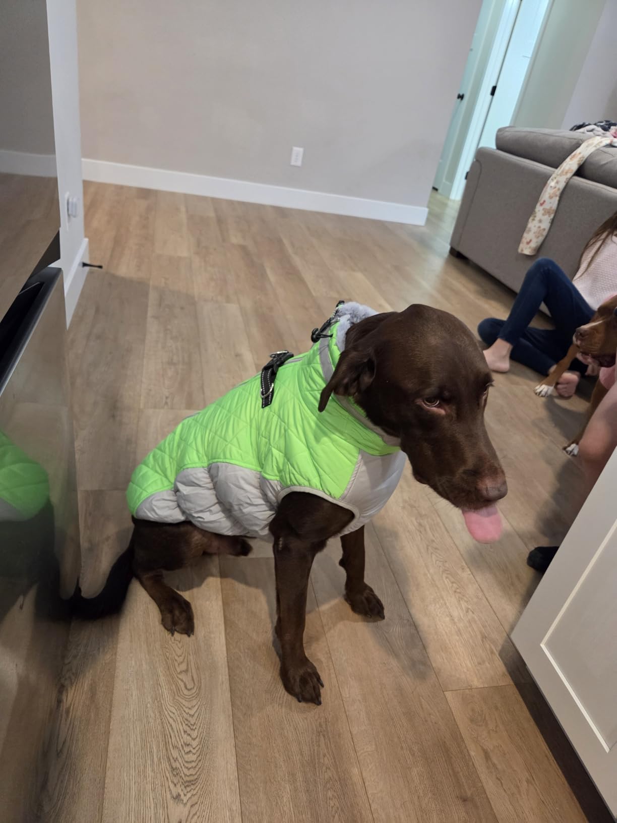 Dog Jackets for Medium Dogs, Warm Pet Winter Coat Zip Up Back, Waterproof Dogs Jacket with D-Ring, Pet Cold Weather Coats with Fleece Lined customer photo 1