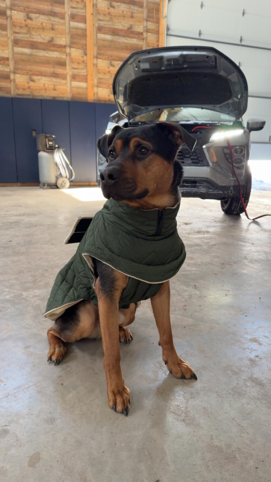 Kuoser Extra Warm Dog Coat, Windproof Cold Weather Dog Jackets for Large Dogs, Thick Fleece Lining Pet Turtleneck Snowsuit Reflective Adjustable Puppy Winter Coat Doggie Snow Jacket Grey, XL customer photo 1